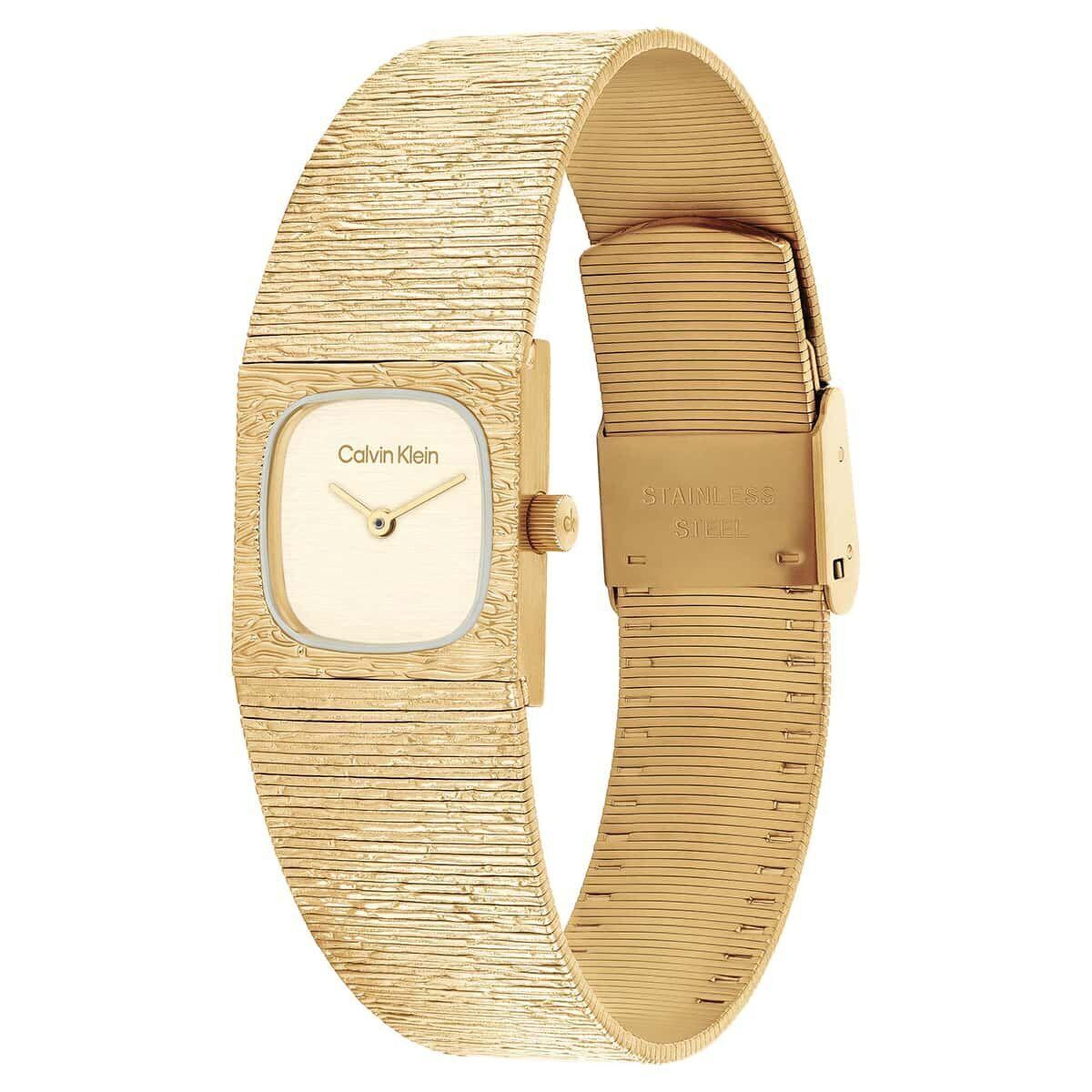 Calvin Klein CK25100178 Kadın Kol Saati