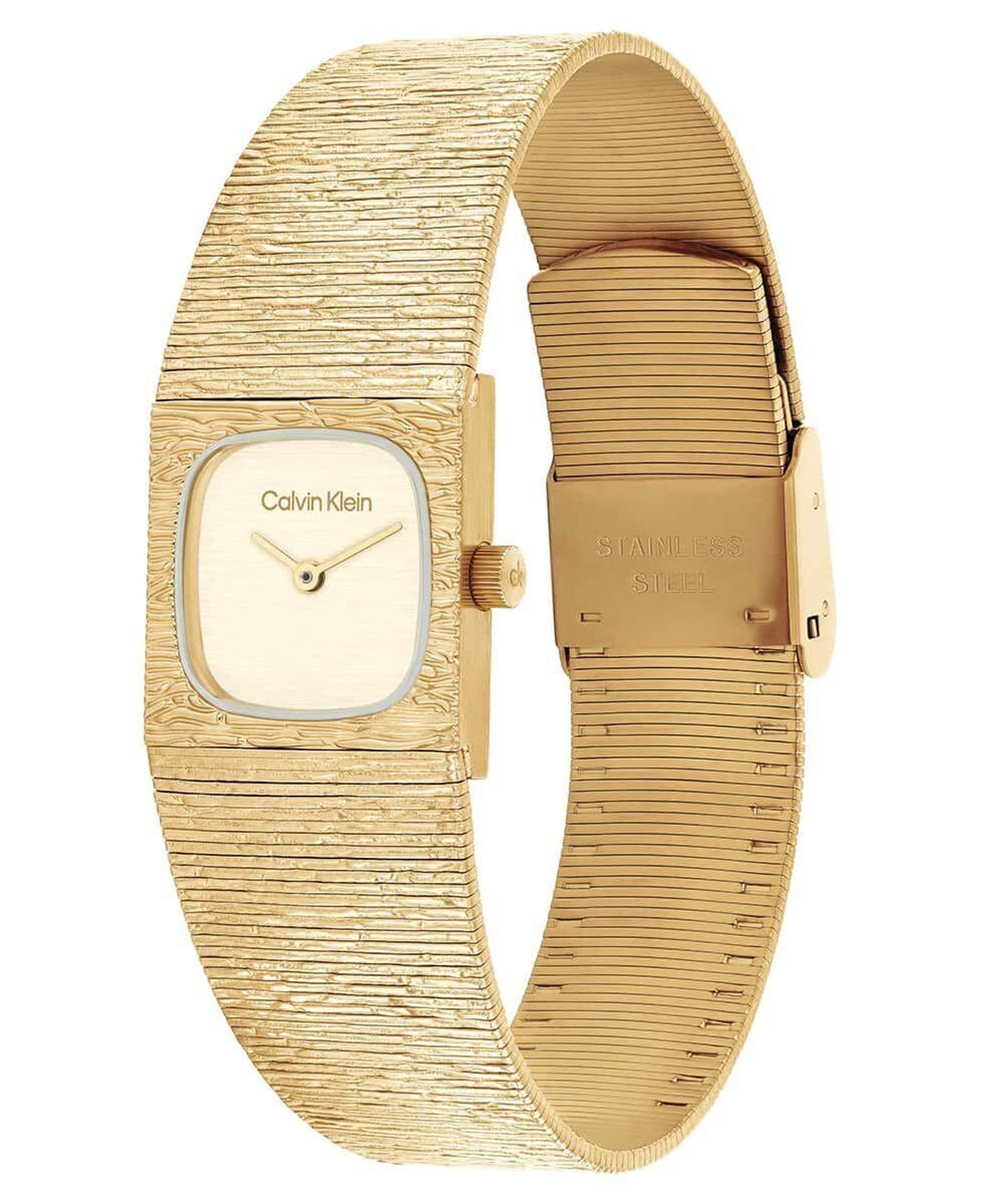 Calvin Klein CK25100178 Kadın Kol Saati