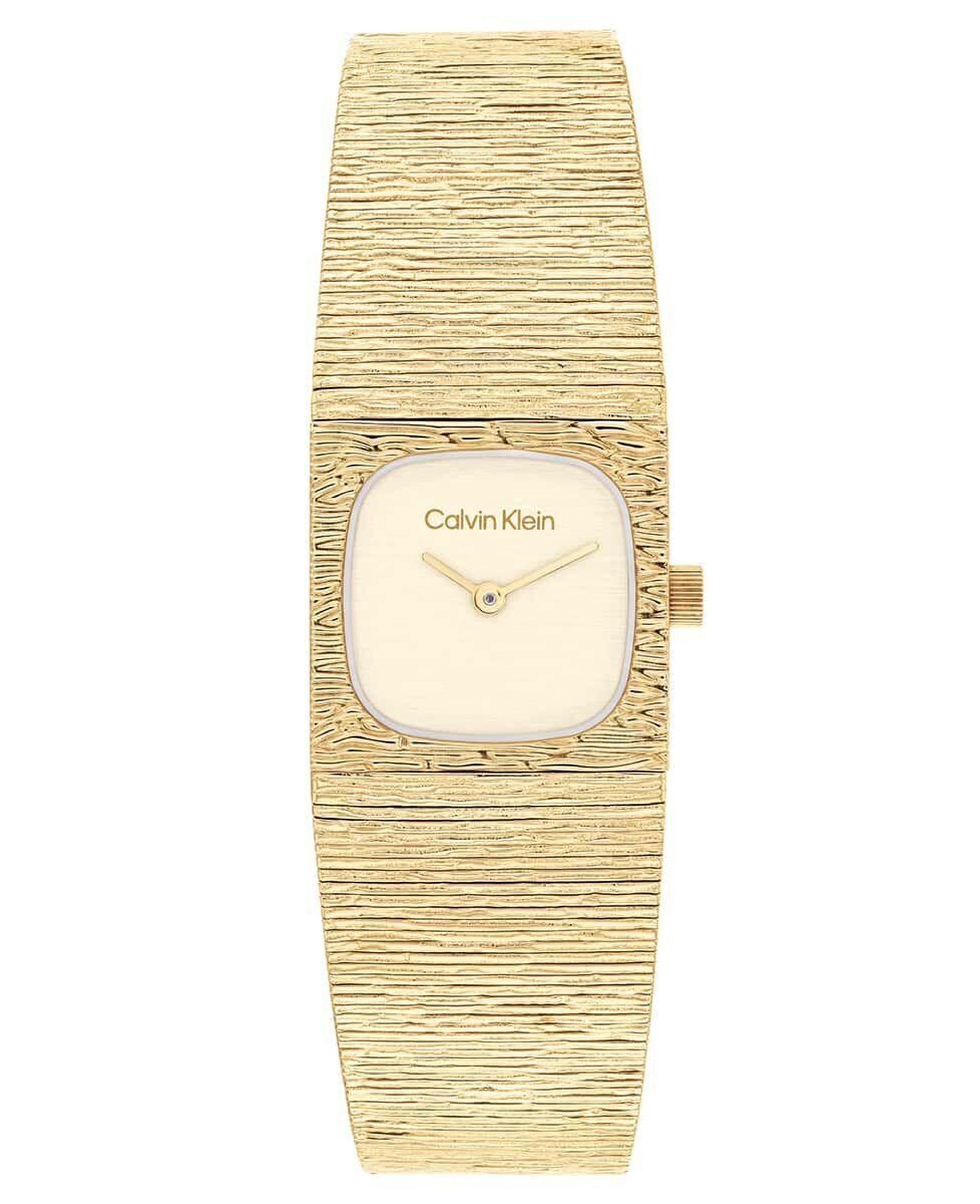 Calvin Klein CK25100178 Kadın Kol Saati
