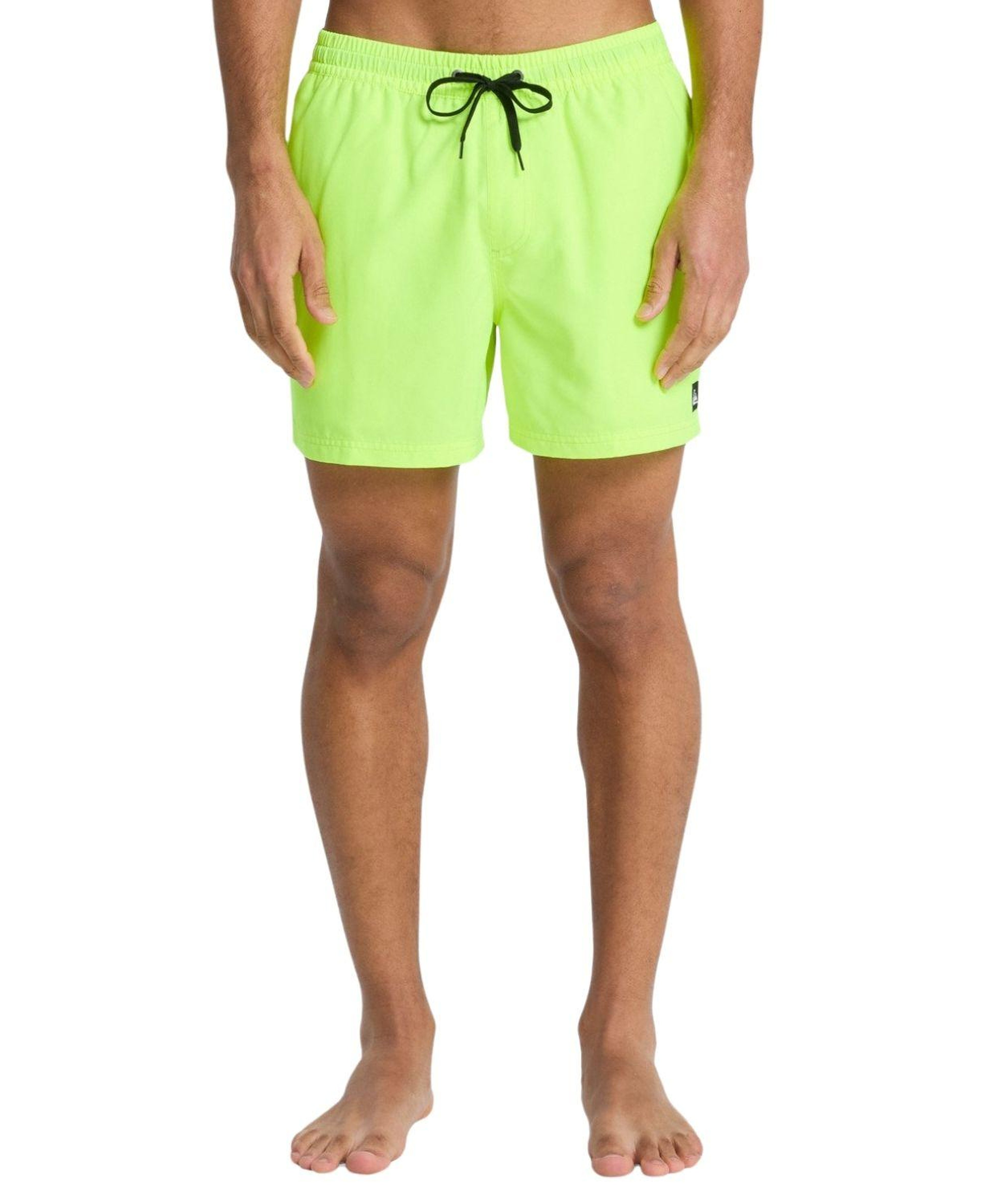 Quiksilver Everyday 15 Erkek Yeşil Volley Short