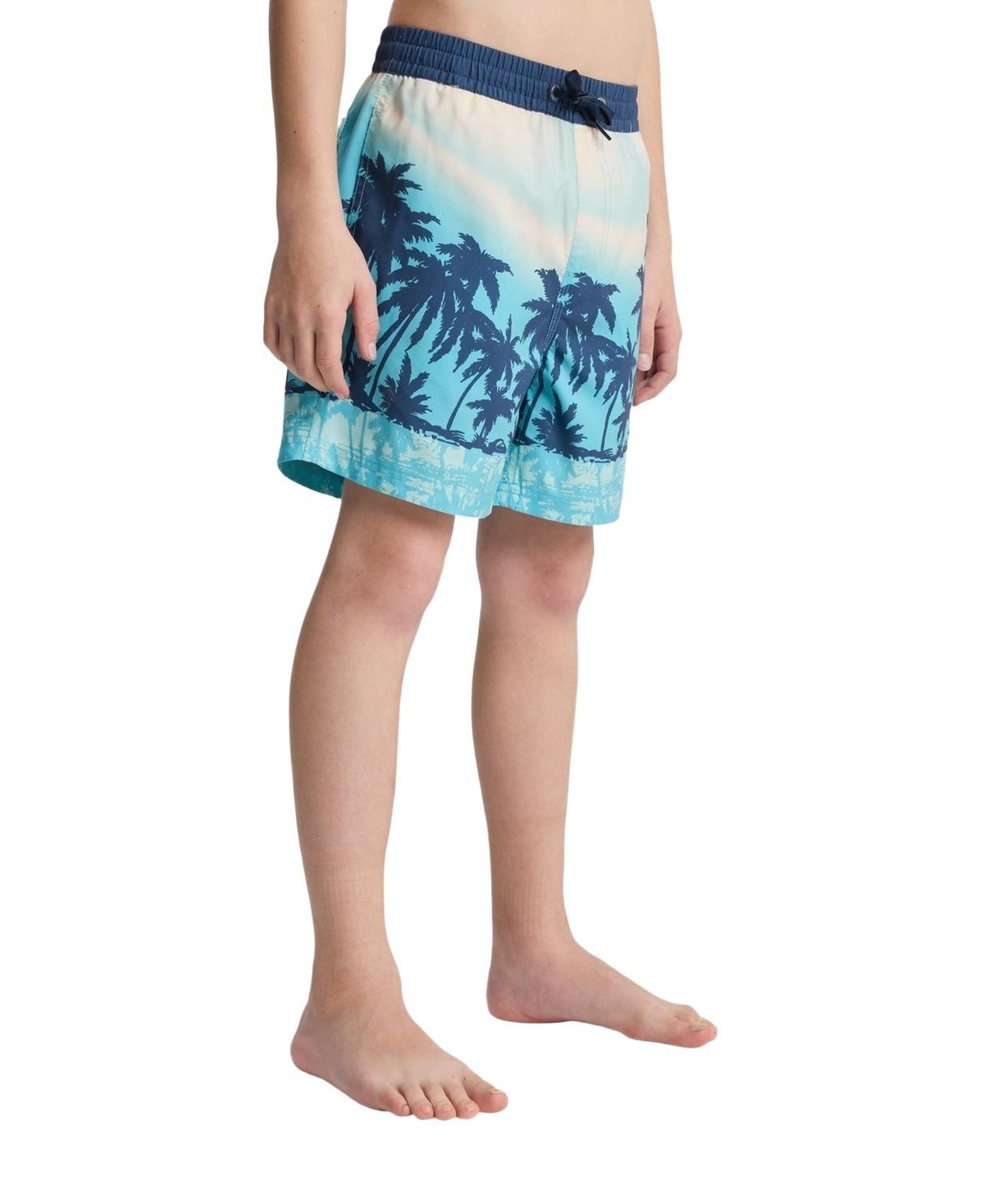Quiksilver Evd Printed Erkek Çocuk Mavi Volley Short