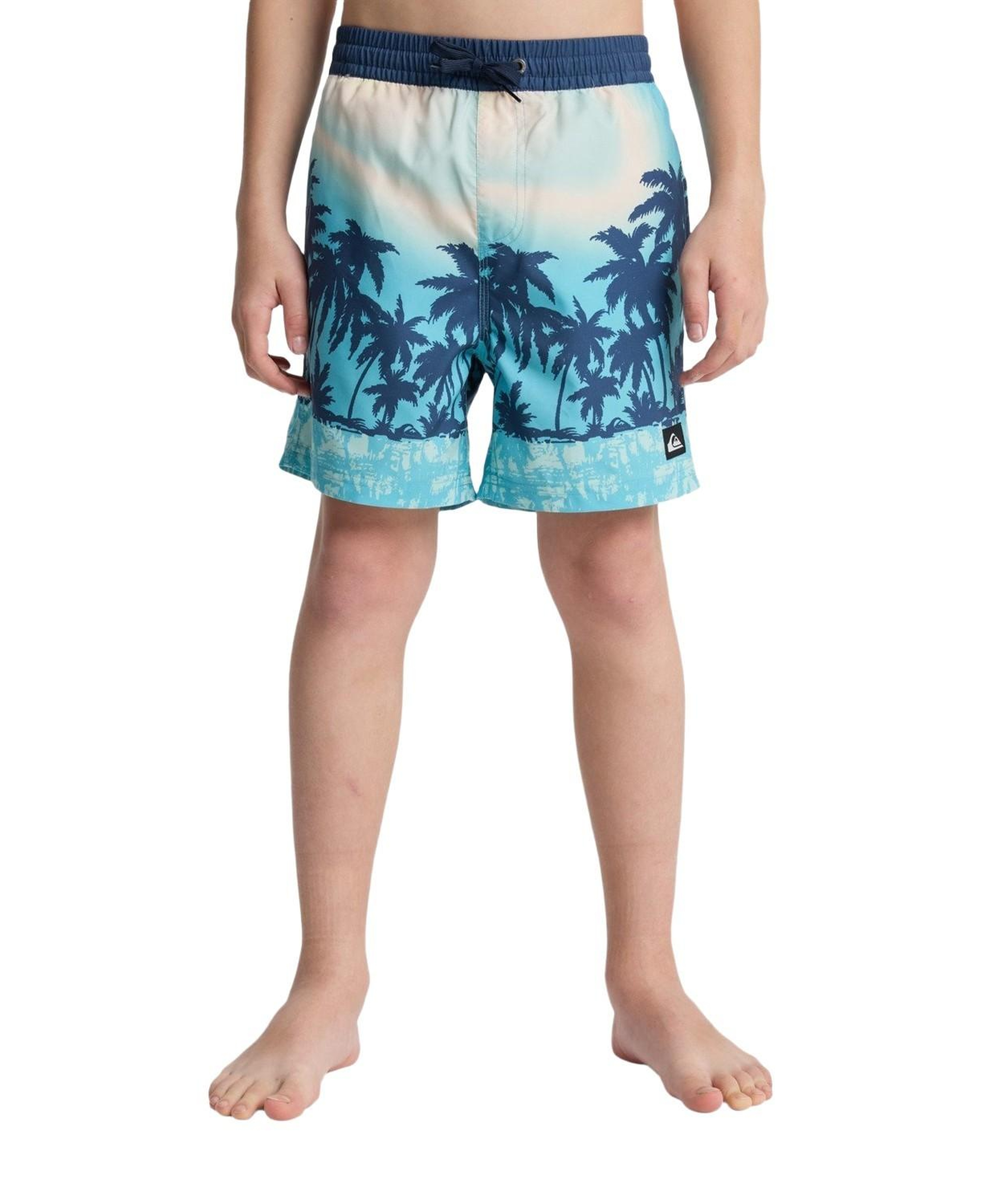 Quiksilver Evd Printed Erkek Çocuk Mavi Volley Short