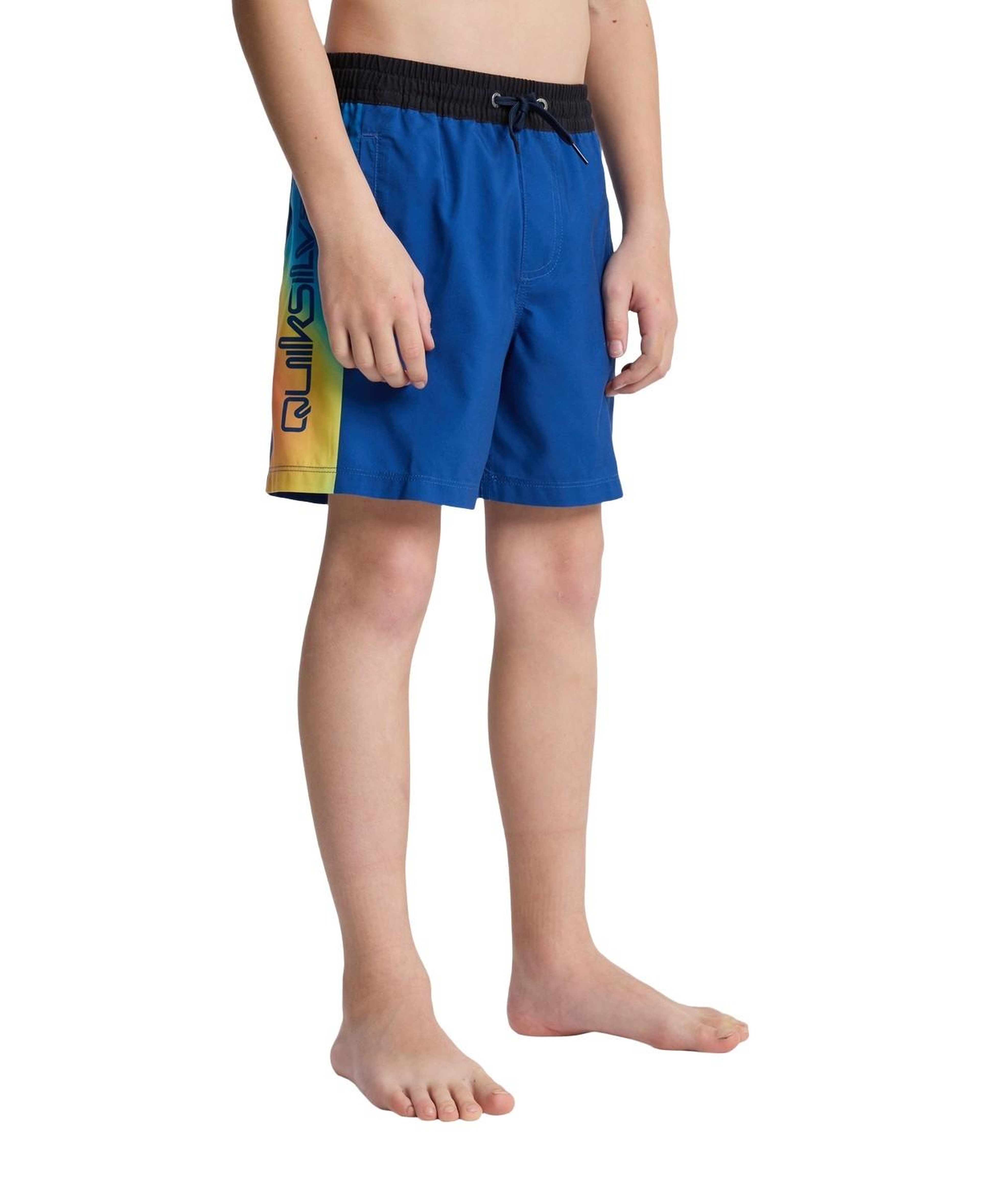 Quiksilver Everyday Holmes Erkek Çocuk Volley Short