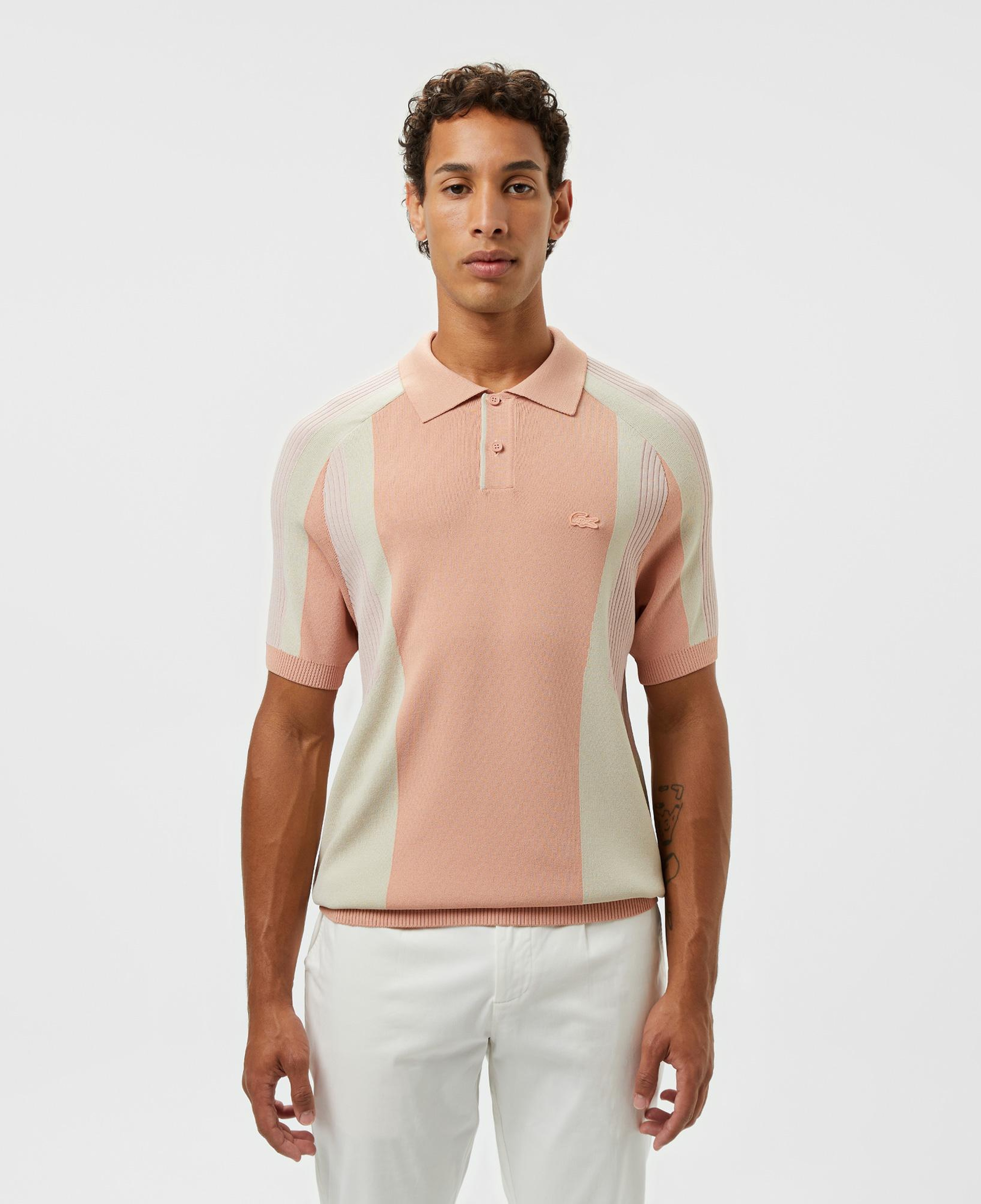 Erkek Regular Fit Kısa Kollu Polo Yaka Renk Bloklu Pembe Triko