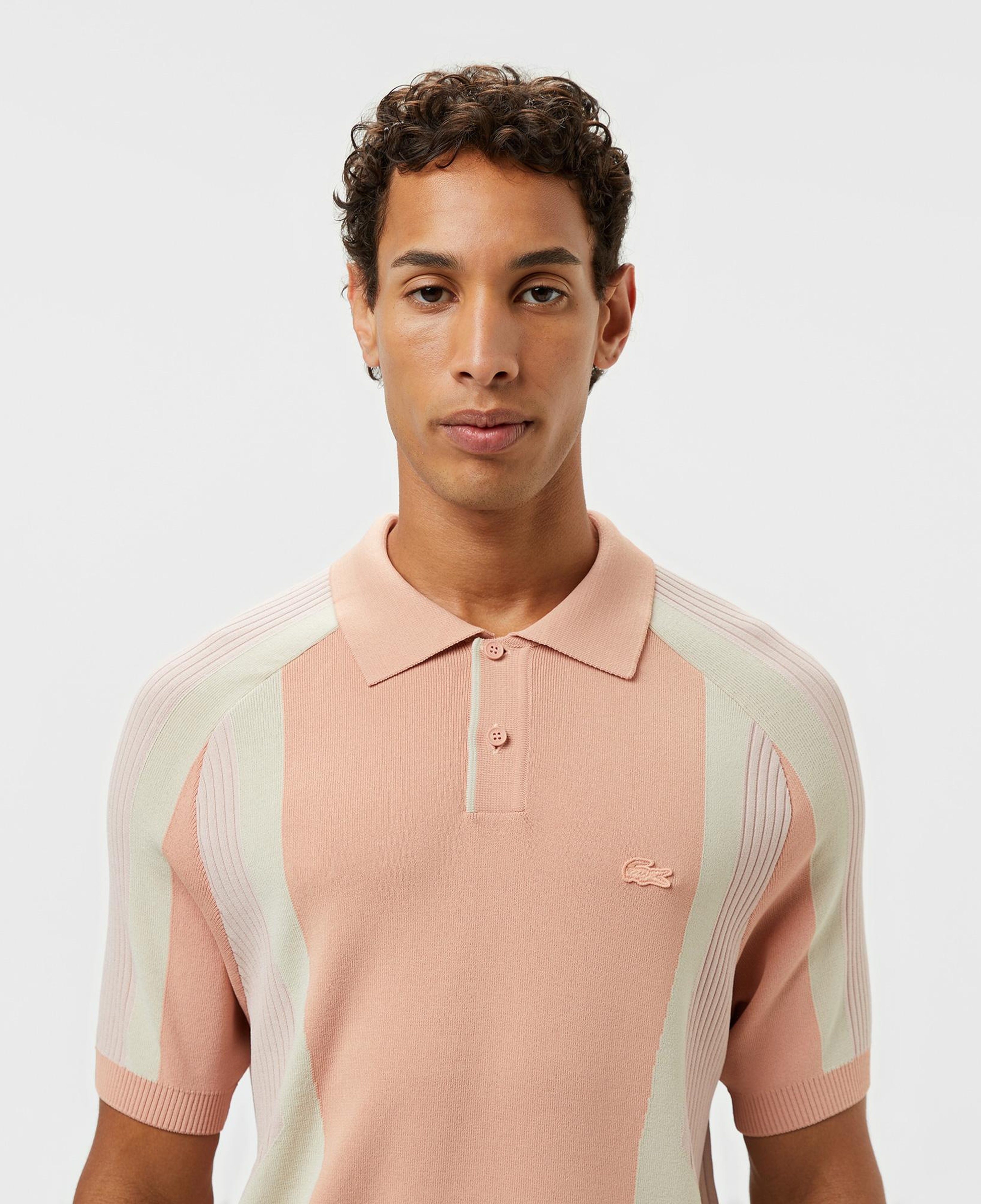 Erkek Regular Fit Kısa Kollu Polo Yaka Renk Bloklu Pembe Triko
