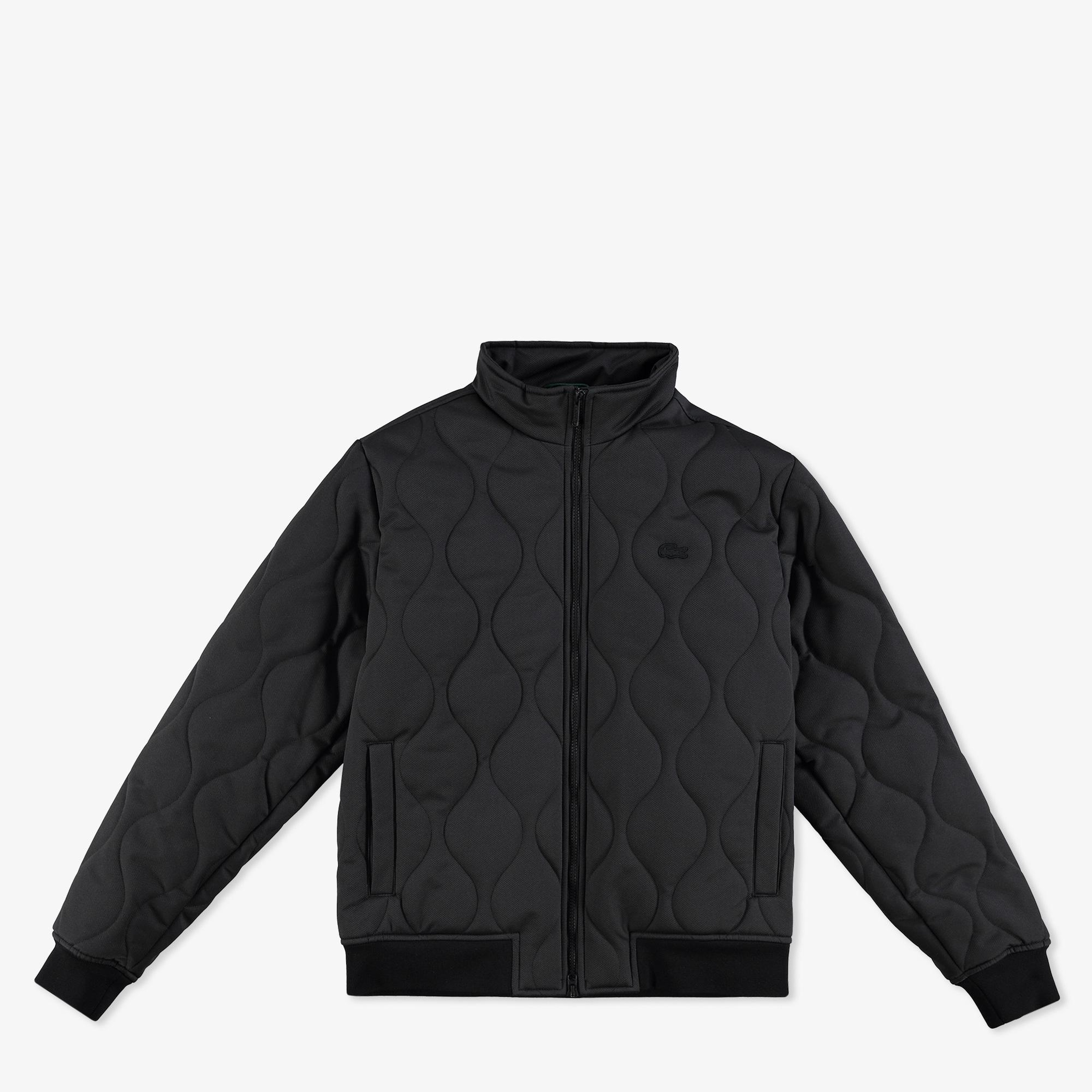 Erkek Relaxed Fit Dik Yaka Kapitone Siyah Mont