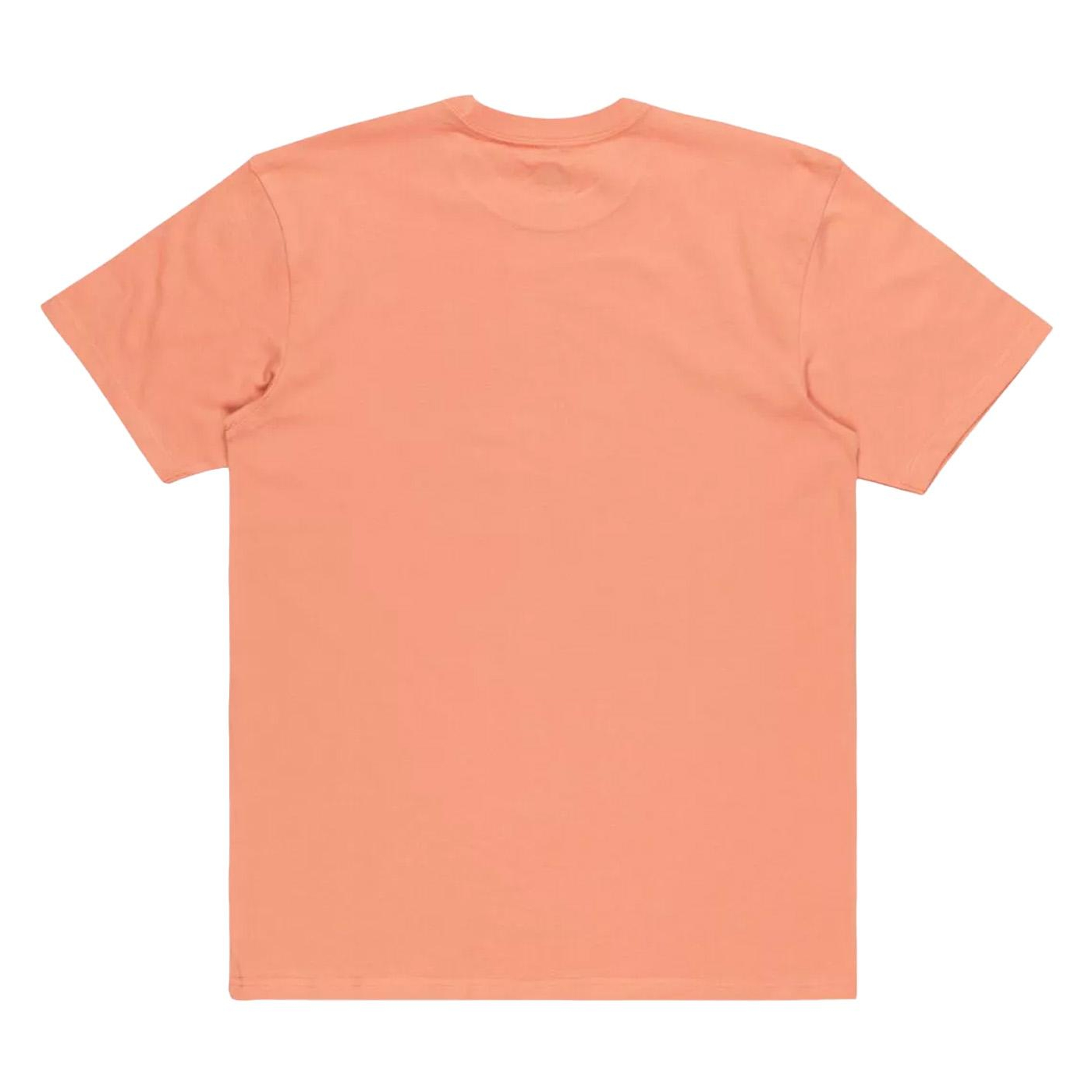 Quiksilver Tropical Rainbow Erkek Tişört