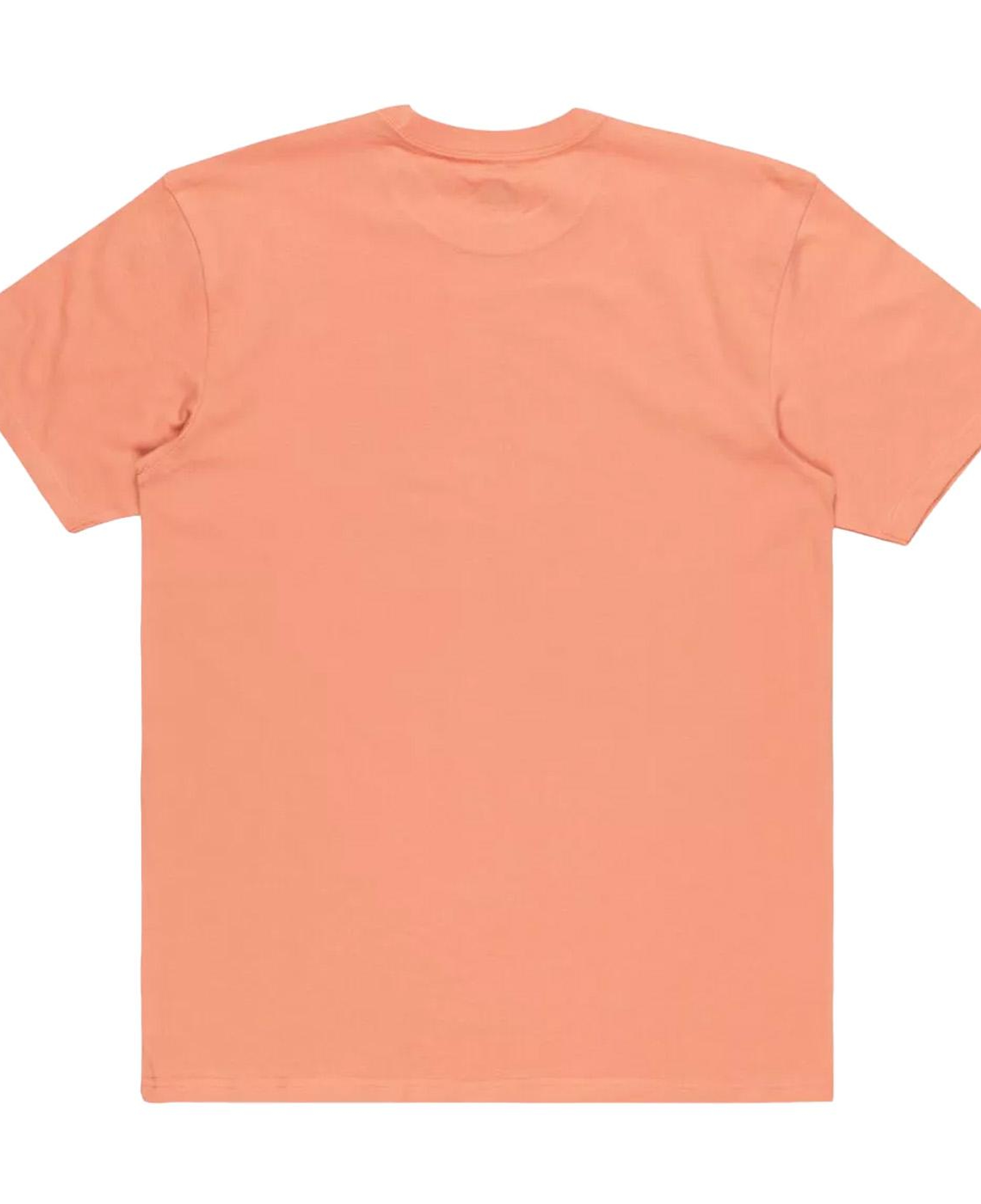 Quiksilver Tropical Rainbow Erkek Tişört