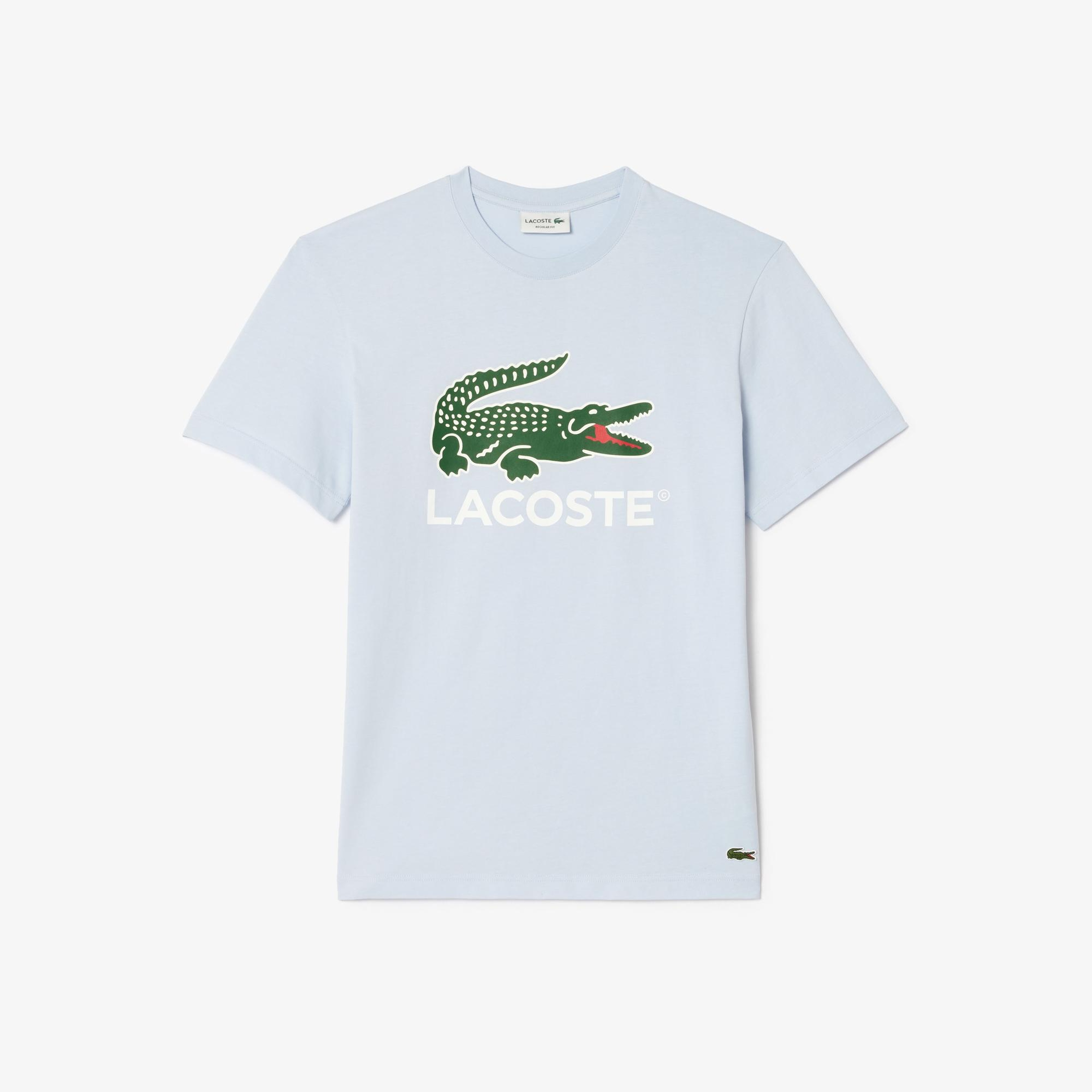 Erkek Regular Fit Bisiklet Yaka Baskılı Açık Mavi T-Shirt