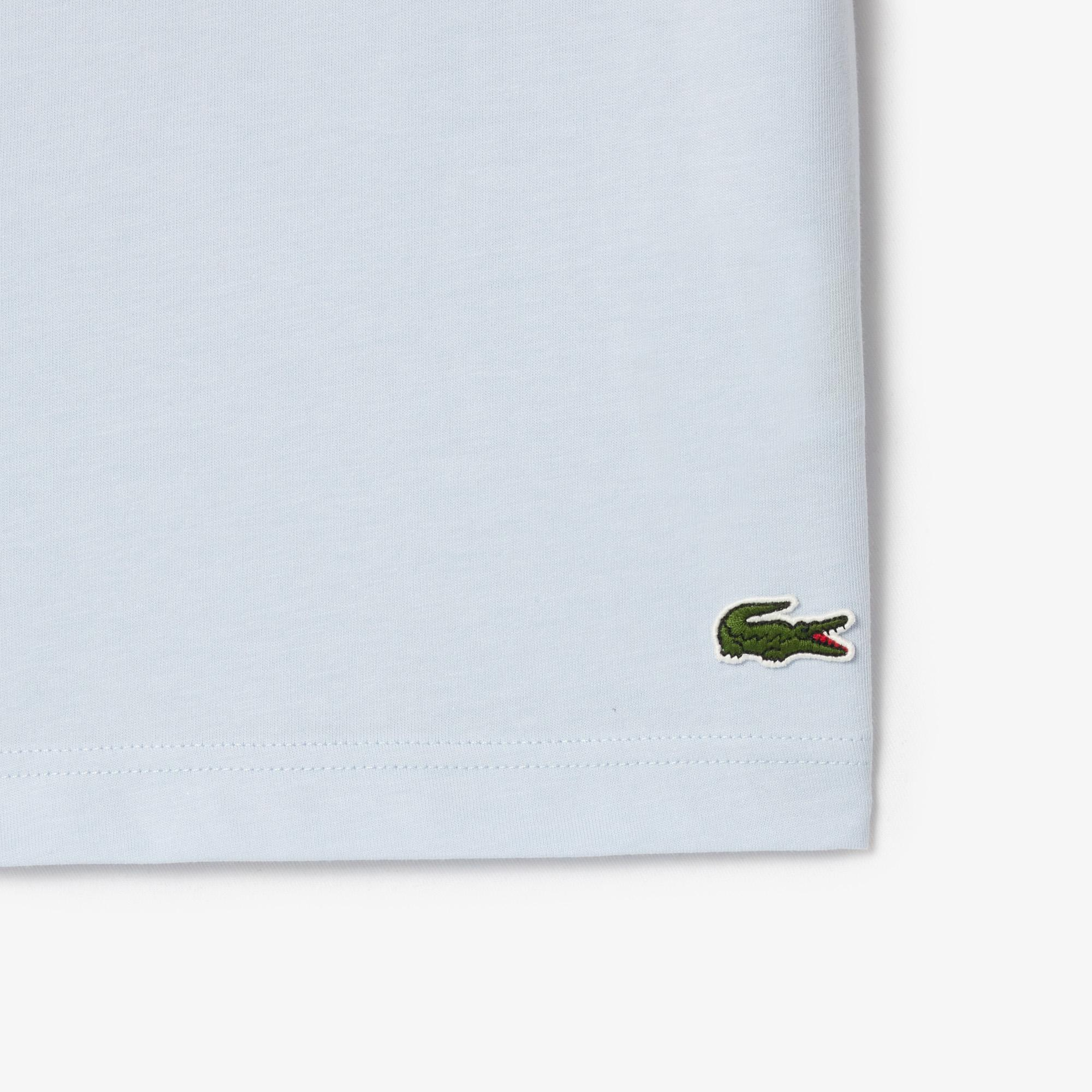 Erkek Regular Fit Bisiklet Yaka Baskılı Açık Mavi T-Shirt