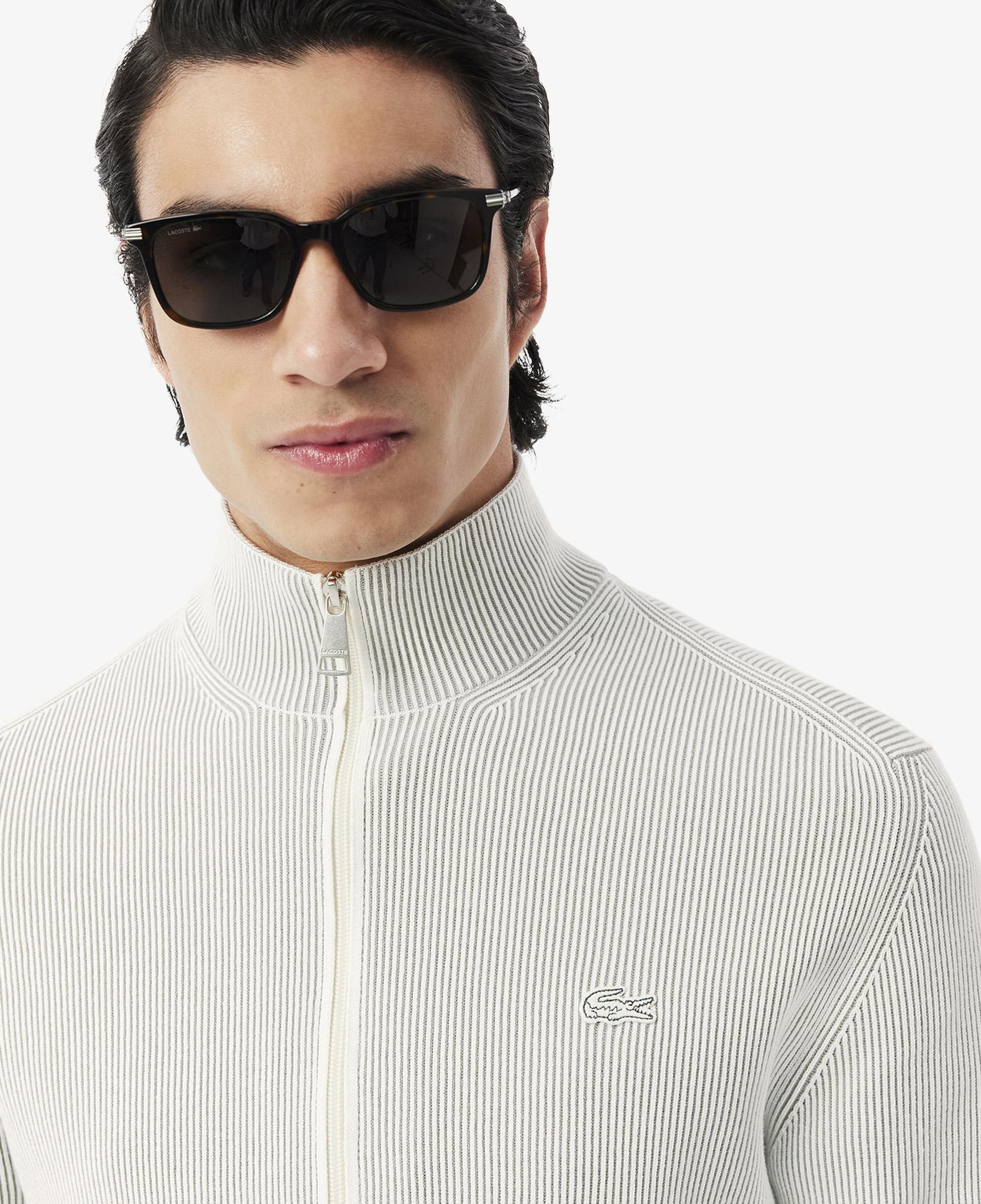 Lacoste Erkek Classic Fit Fermuarlı Yaka Gri Triko