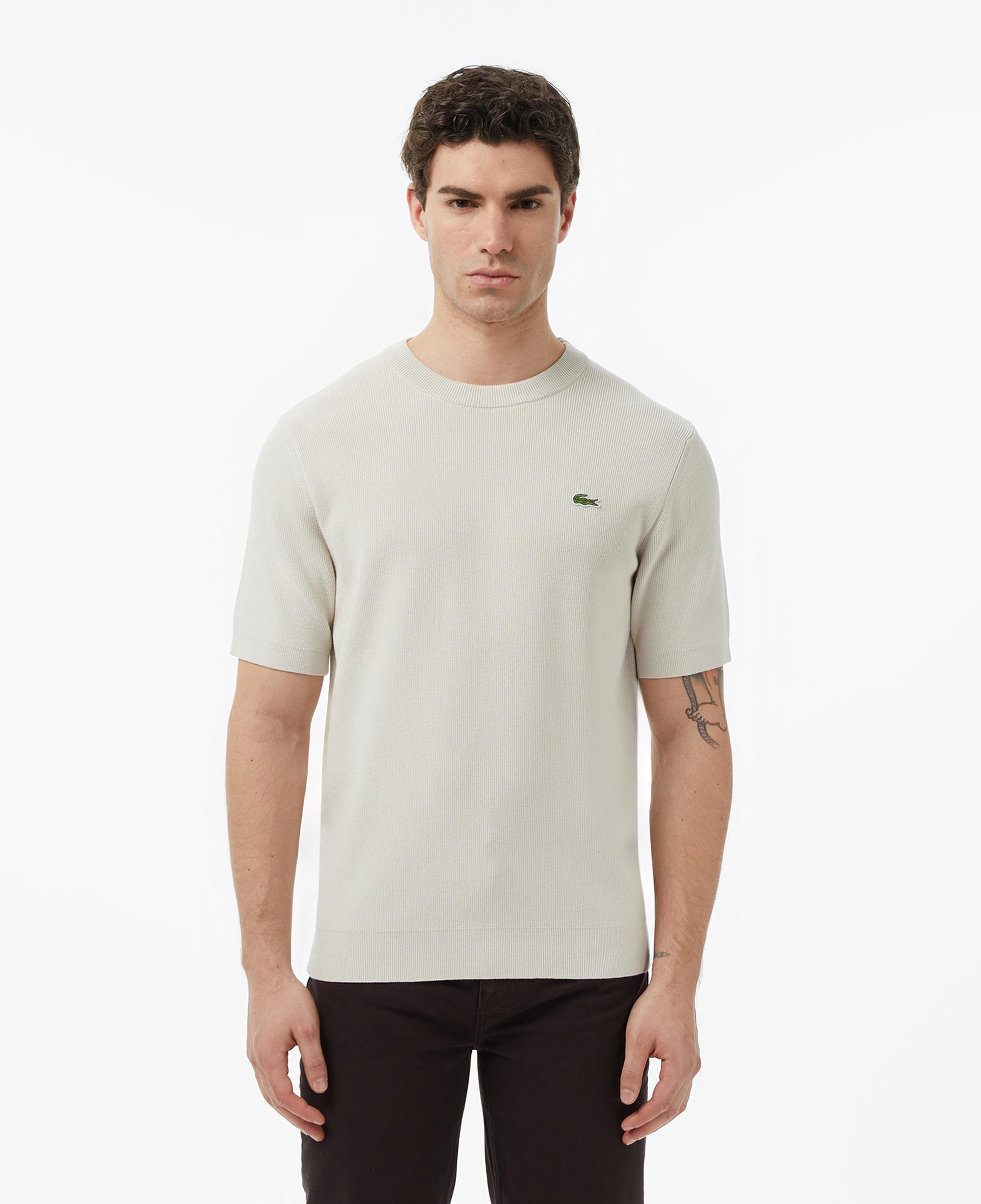Erkek Classic Fit Kısa Kollu Bisiklet Yaka Bej Triko
