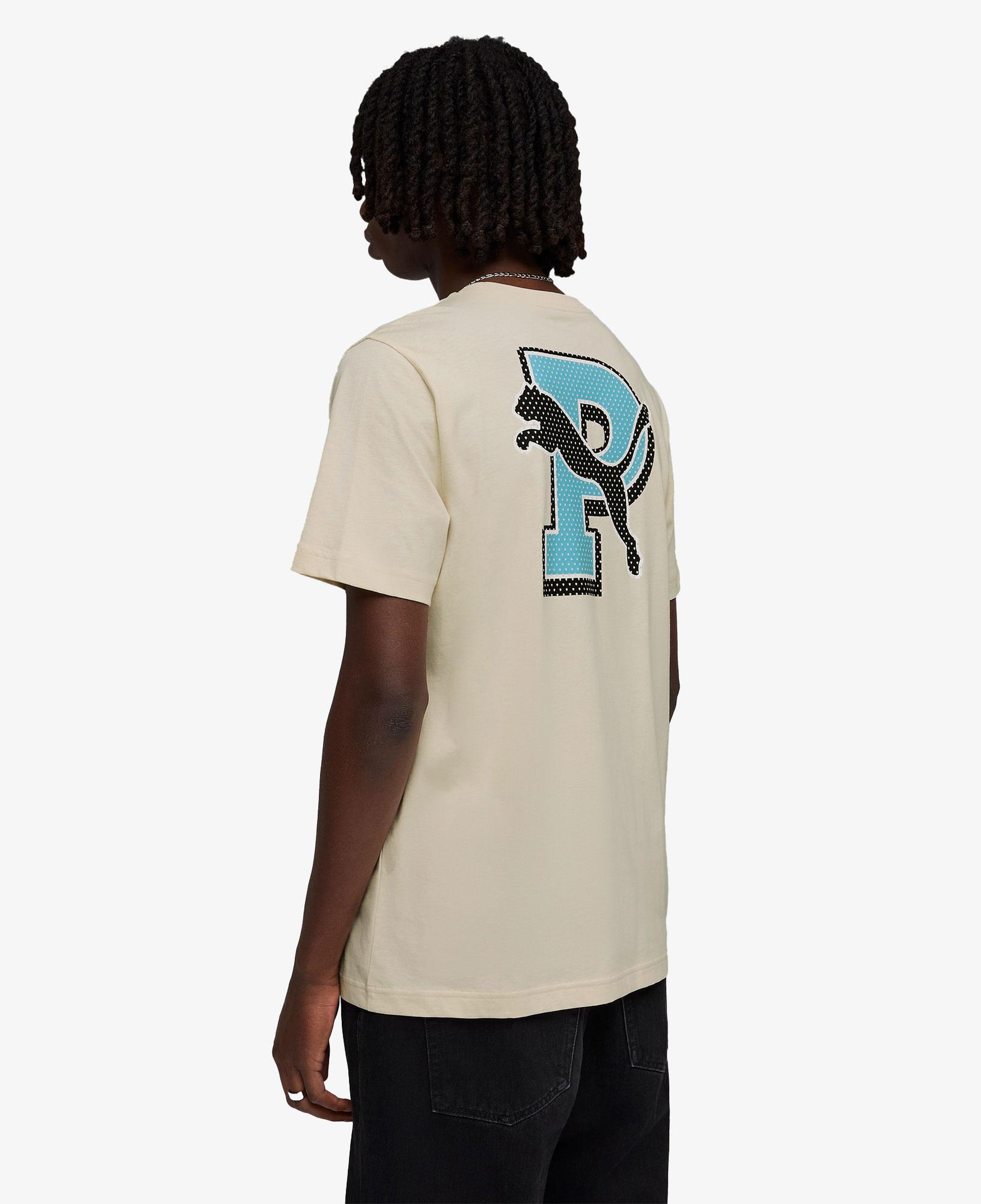 Puma Graphic  Erkek Beyaz T-Shirt