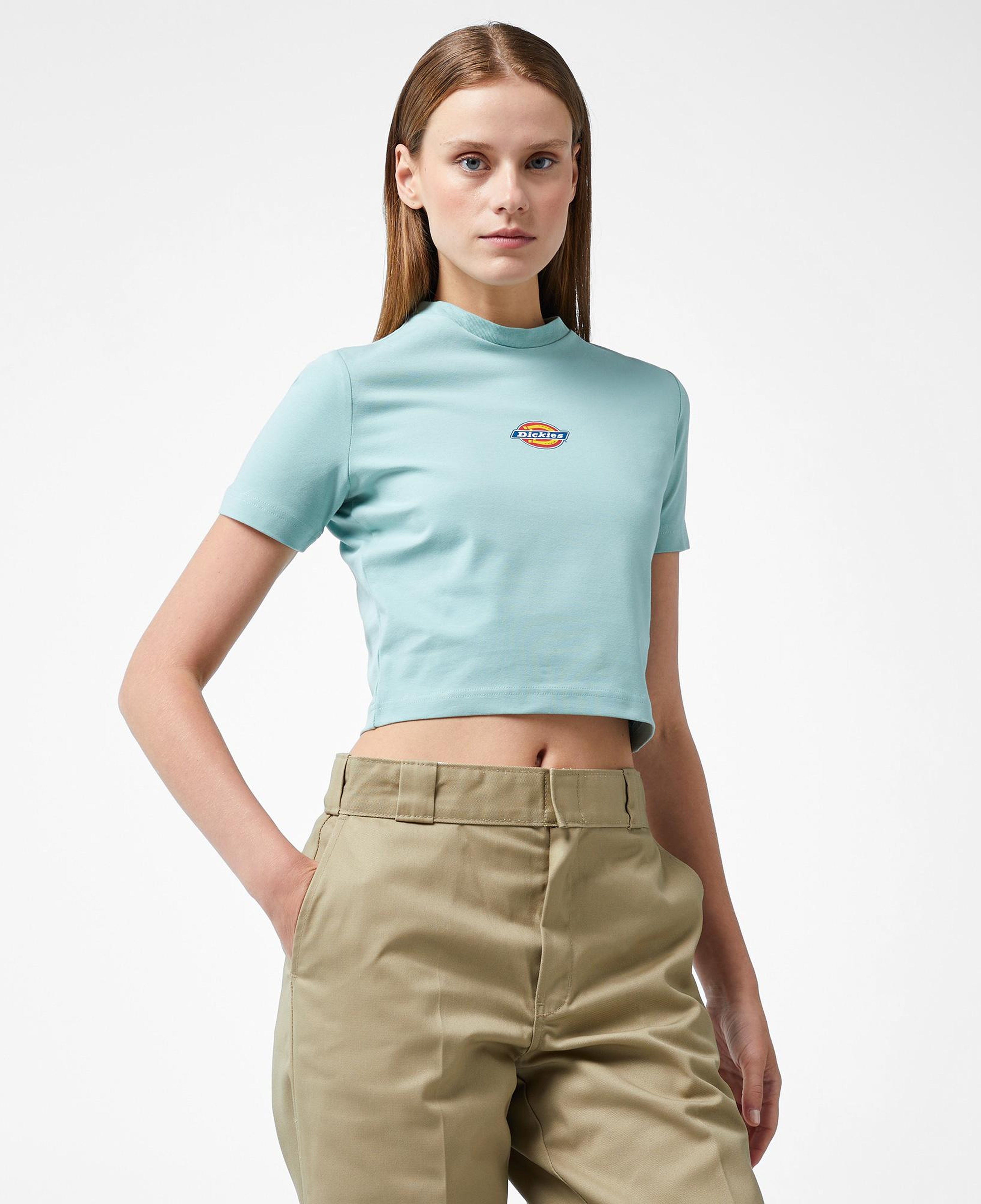 Dickies Maple Valley Kadın Mavi T-Shirt