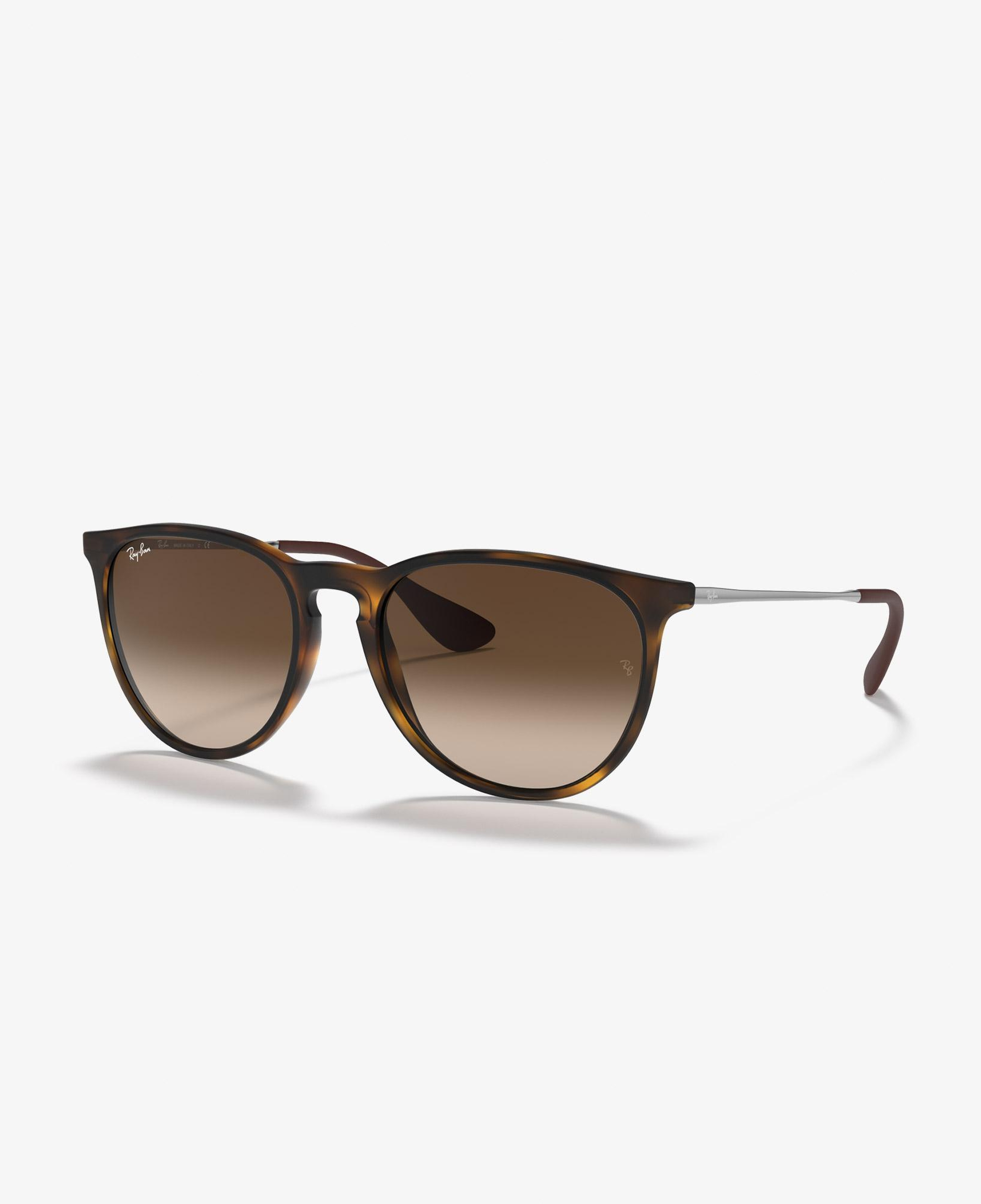 Ray-Ban Nylon Erkek Kahverengi Güneş Gözlüğü