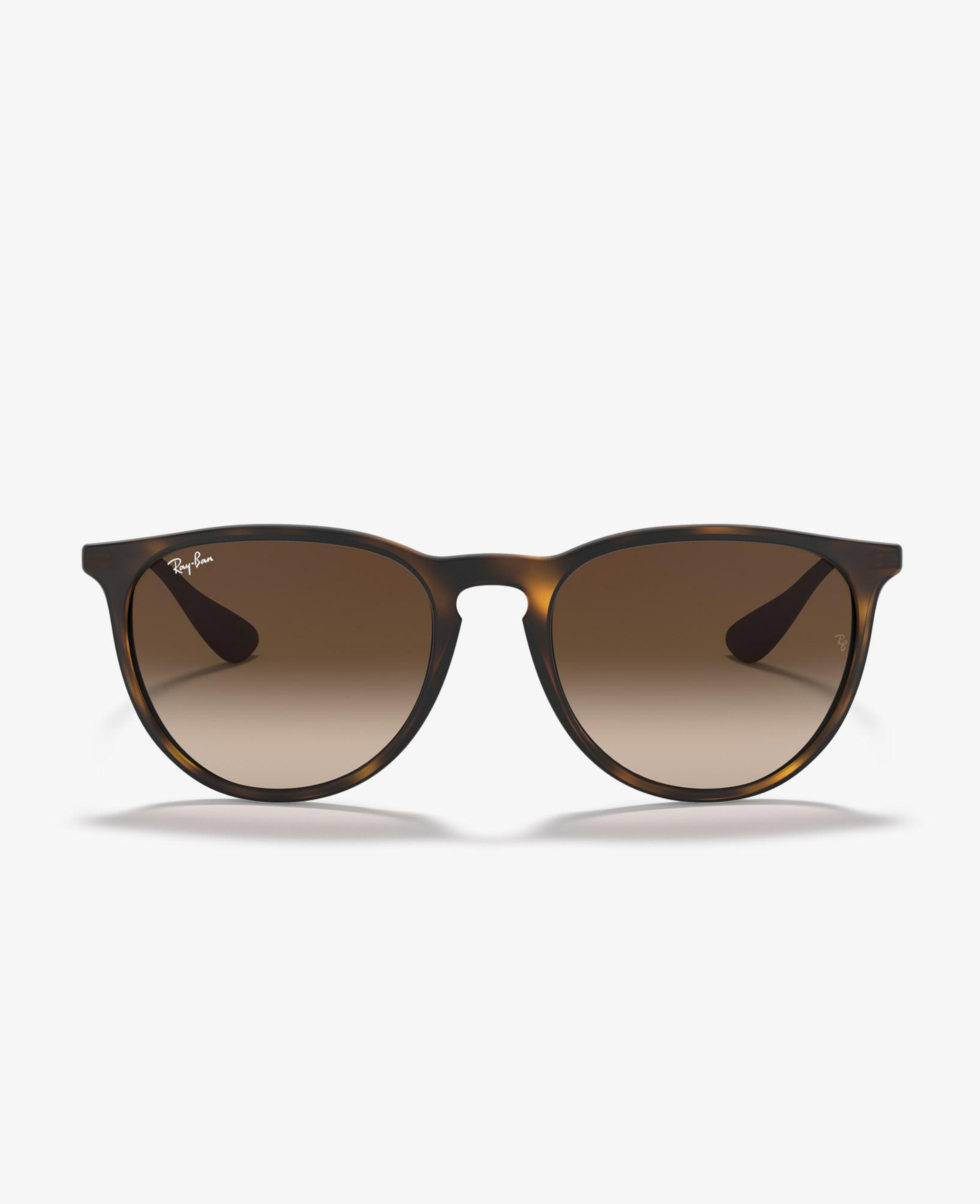 Ray-Ban Nylon Erkek Kahverengi Güneş Gözlüğü