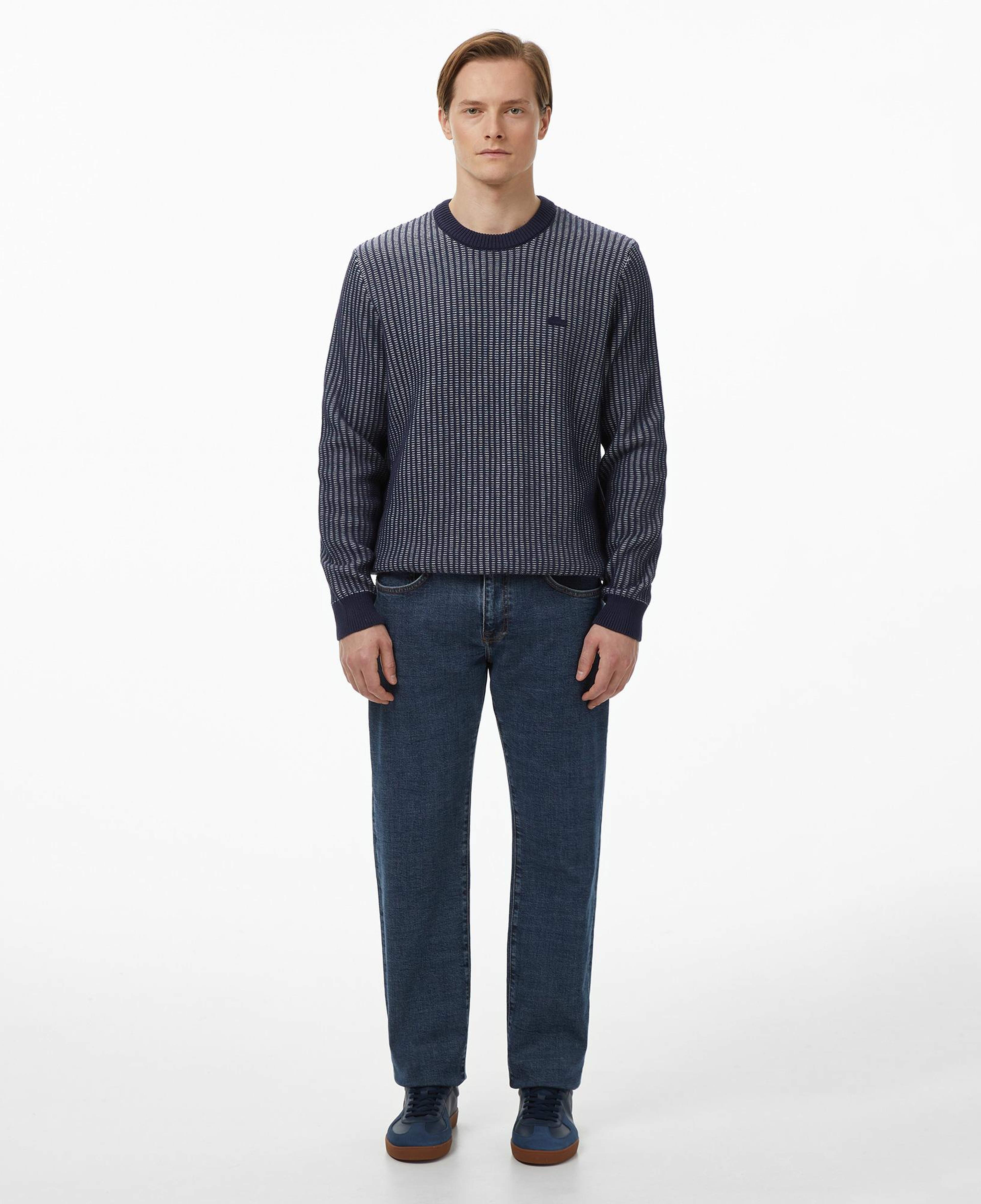 Lacoste Erkek Classic Fit Bisiklet Yaka Desenli Lacivert Kazak