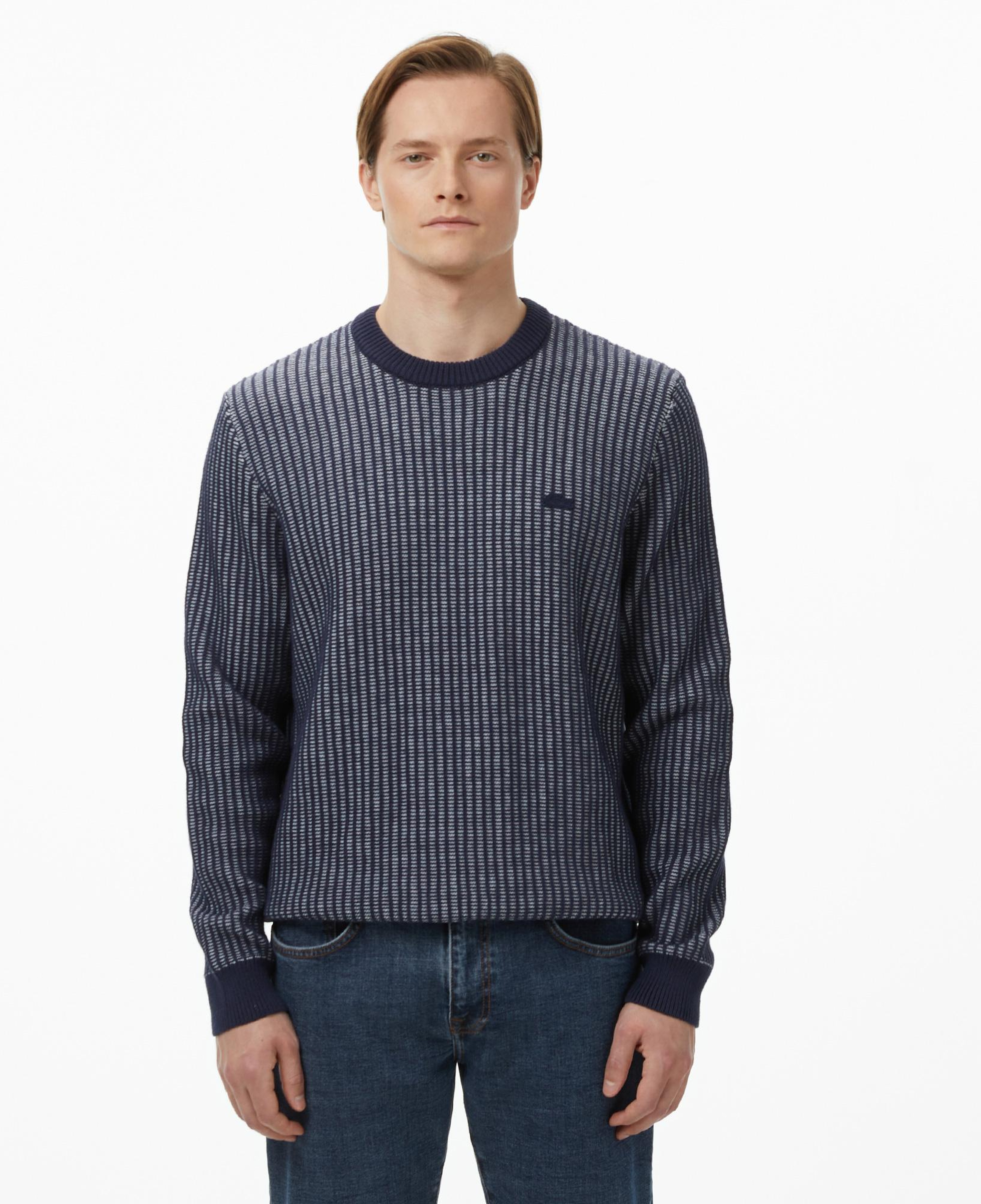Lacoste Erkek Classic Fit Bisiklet Yaka Desenli Lacivert Kazak