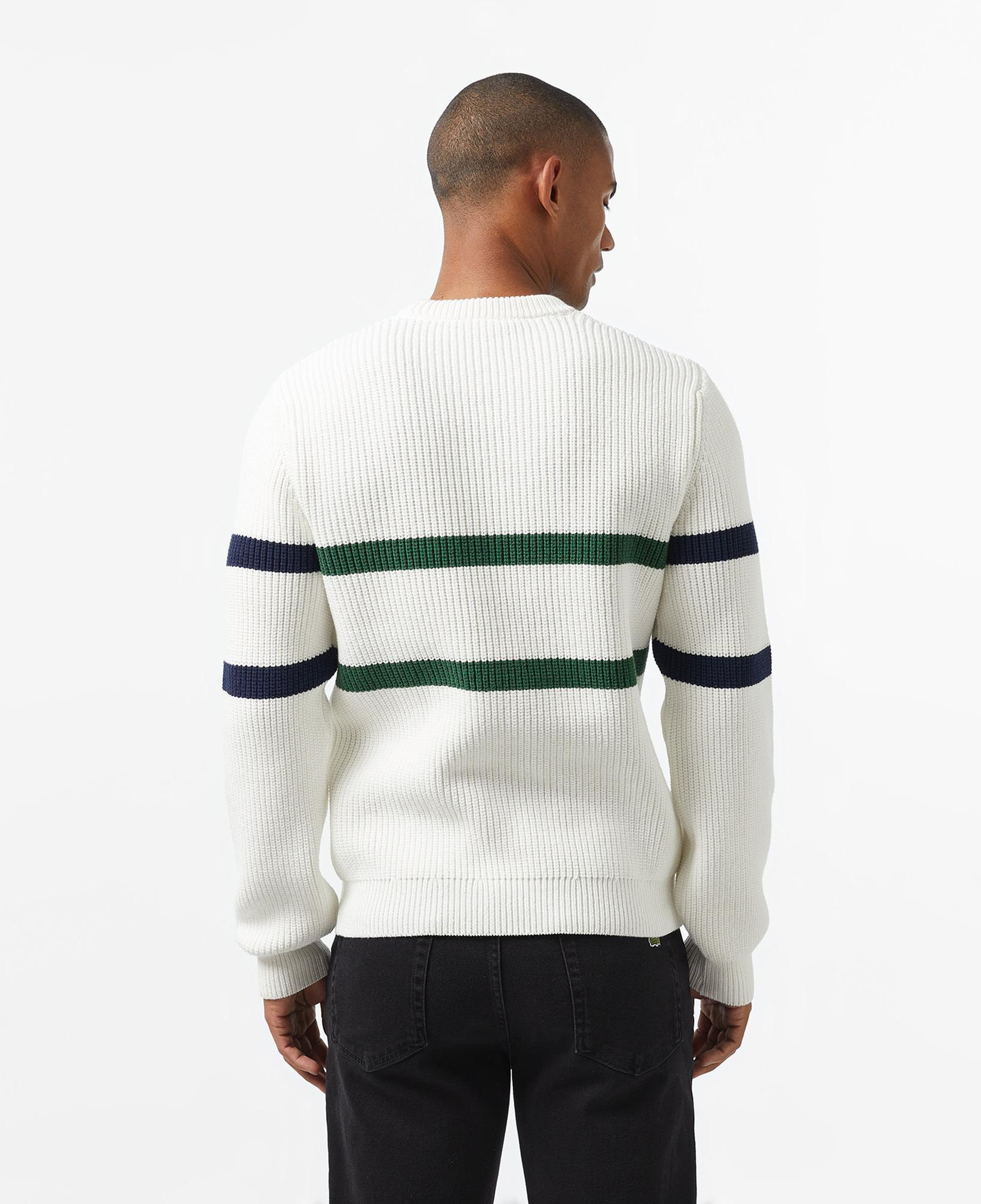 Erkek Relaxed Fit Bisiklet Yaka Çizgili Beyaz Kazak