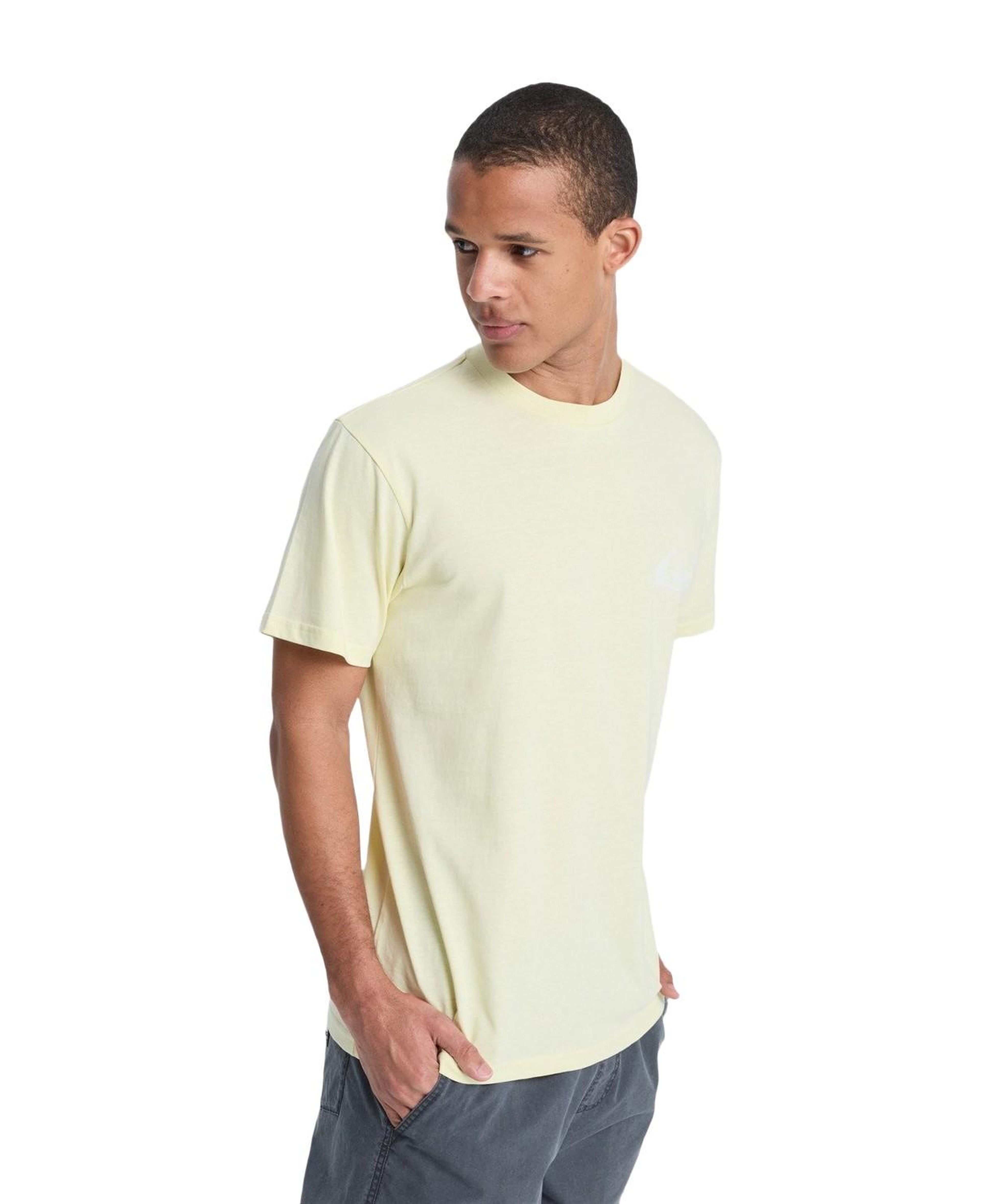 Quiksilver Ev Mini Logo Erkek Tişört