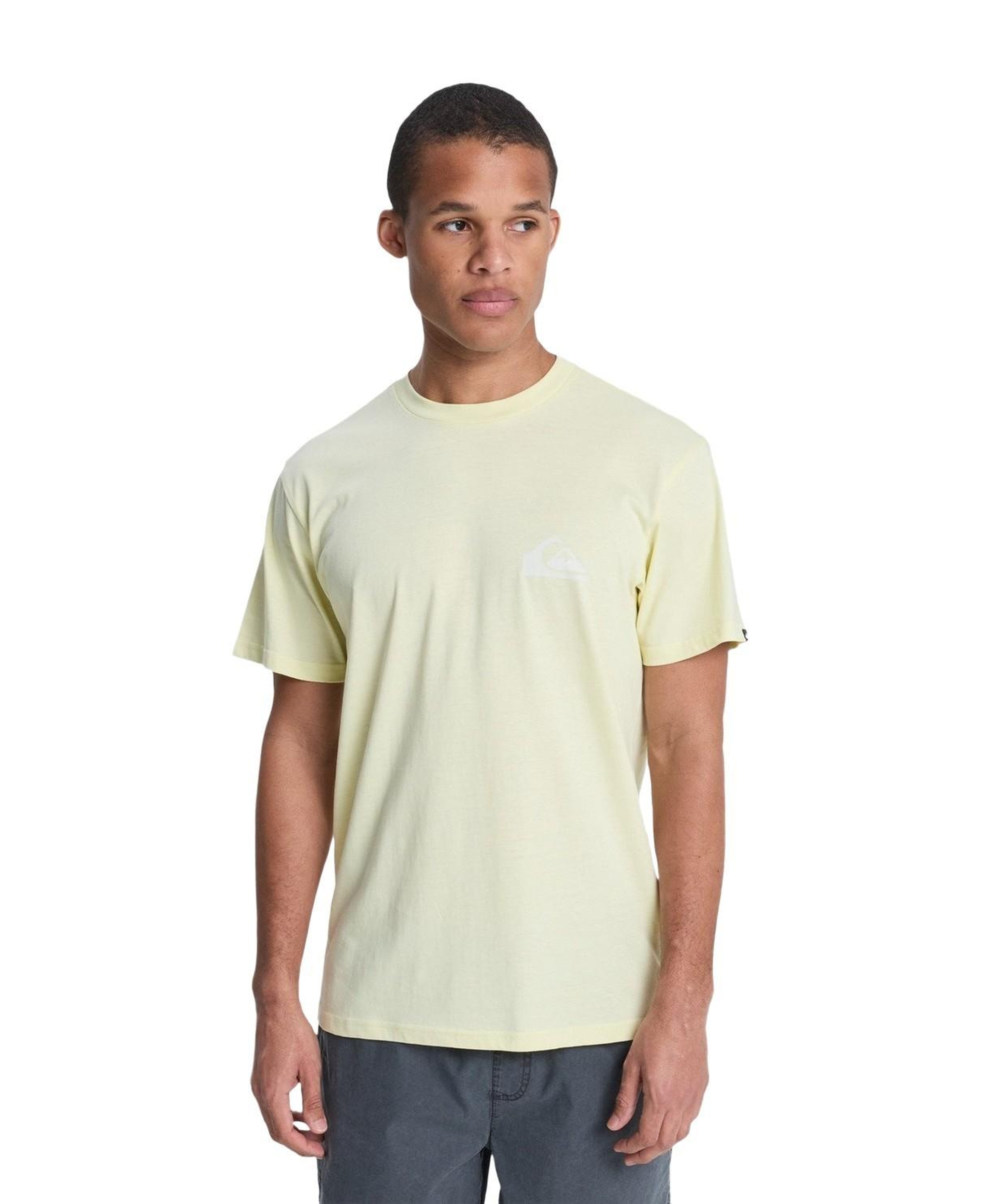 Quiksilver Ev Mini Logo Erkek Tişört