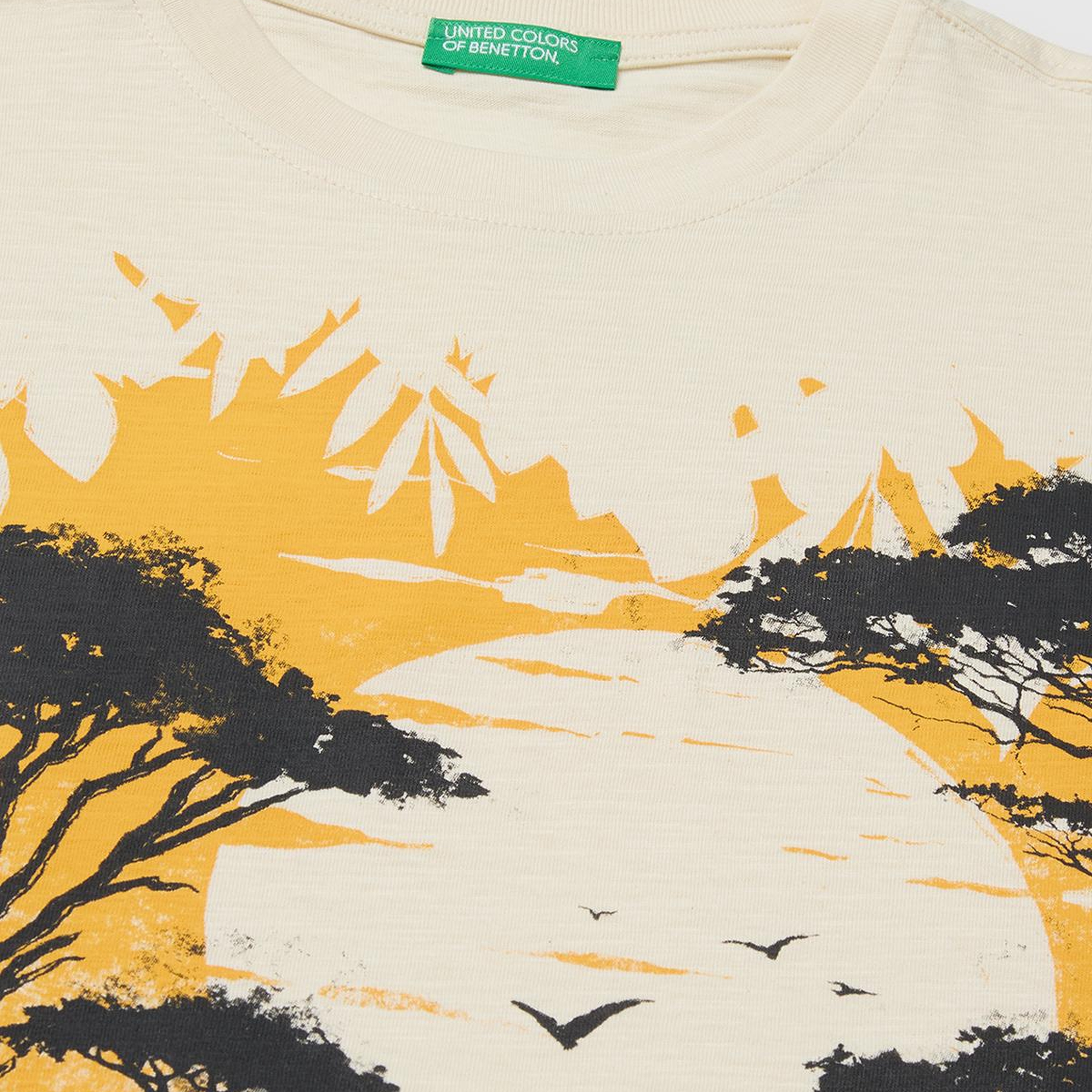 Erkek Çocuk Krem Önü Baskı Detaylı Bisiklet Yaka T-Shirt
