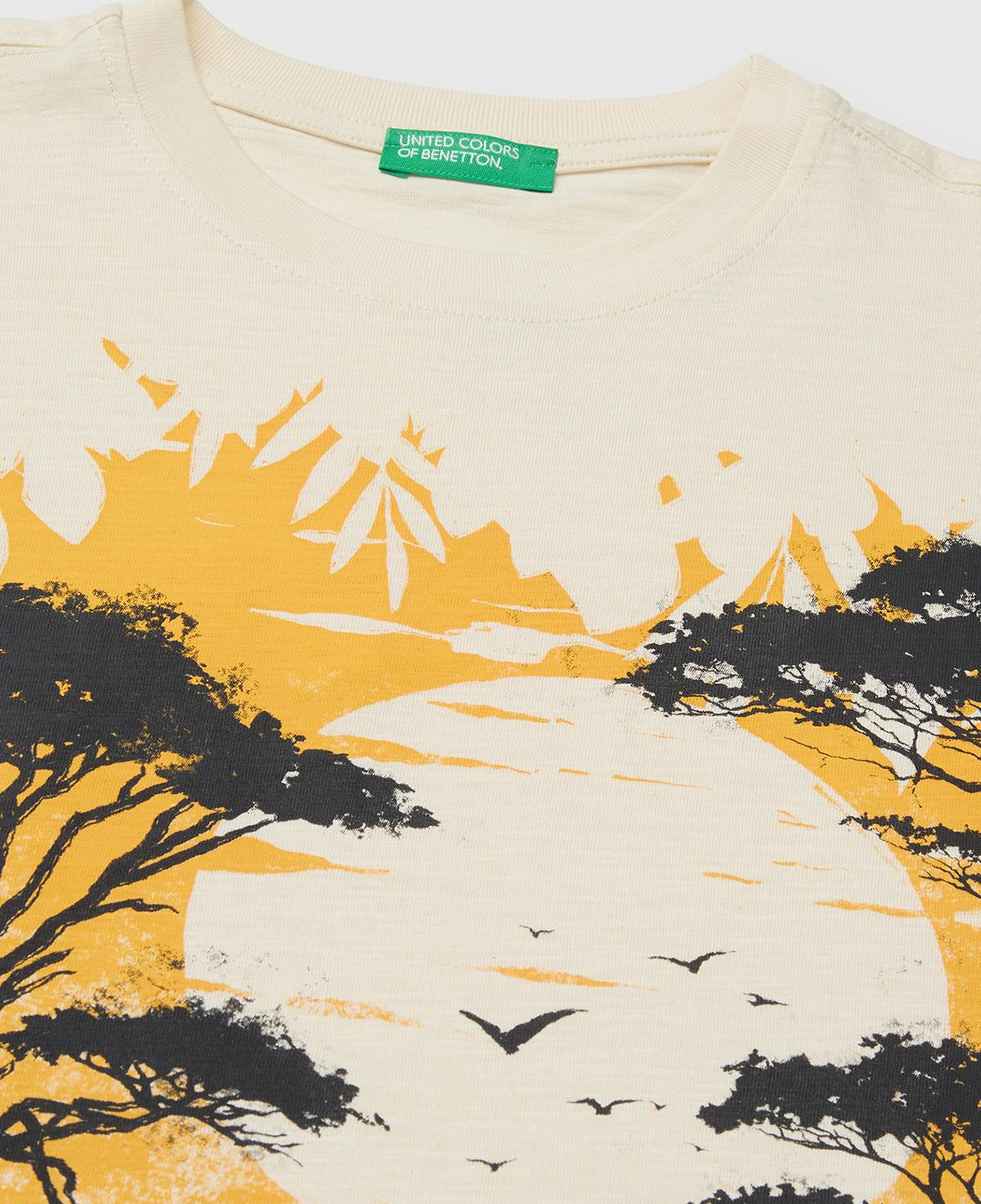 Erkek Çocuk Krem Önü Baskı Detaylı Bisiklet Yaka T-Shirt