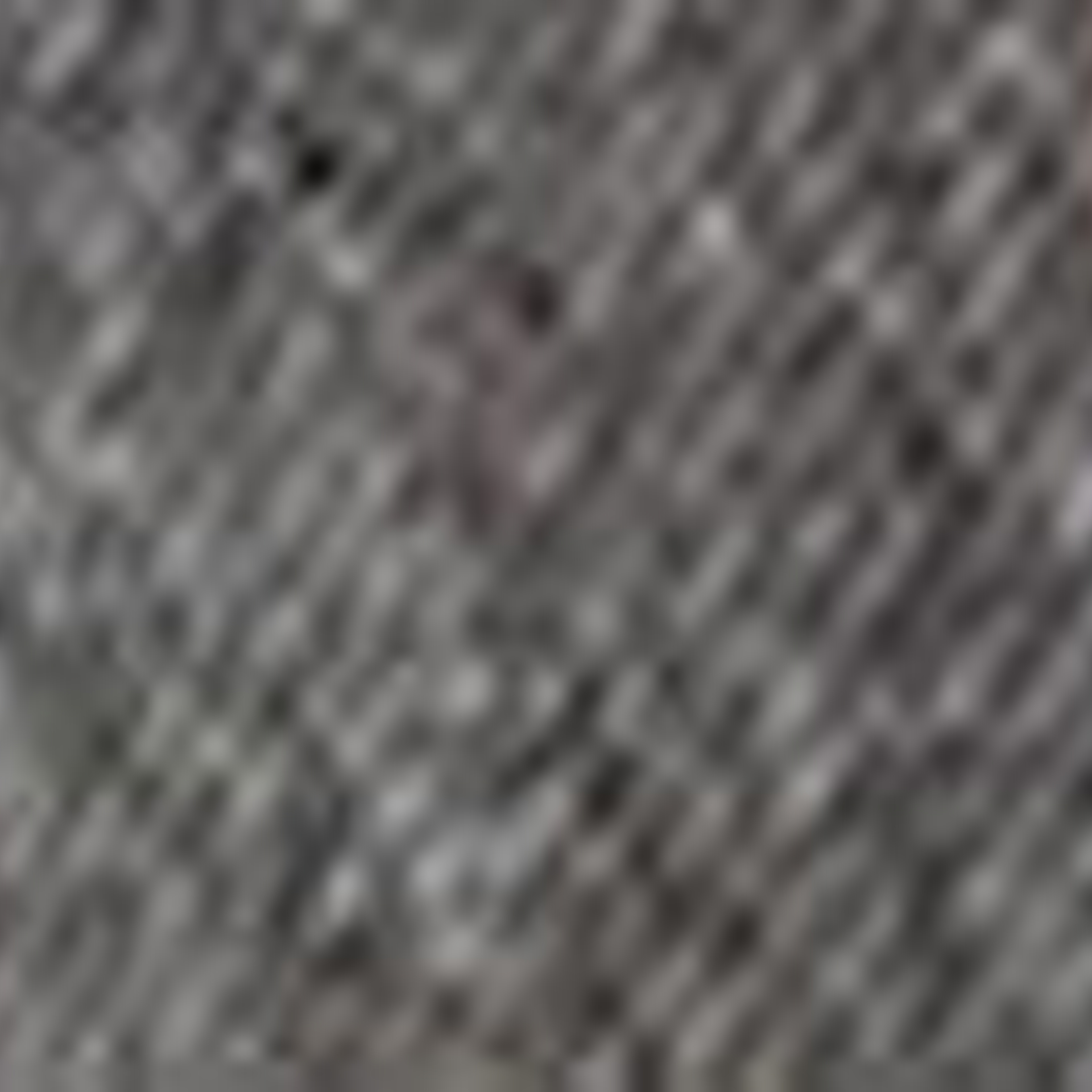 501® Original Selvedge Erkek Jean Pantolon - Black Ash Selv