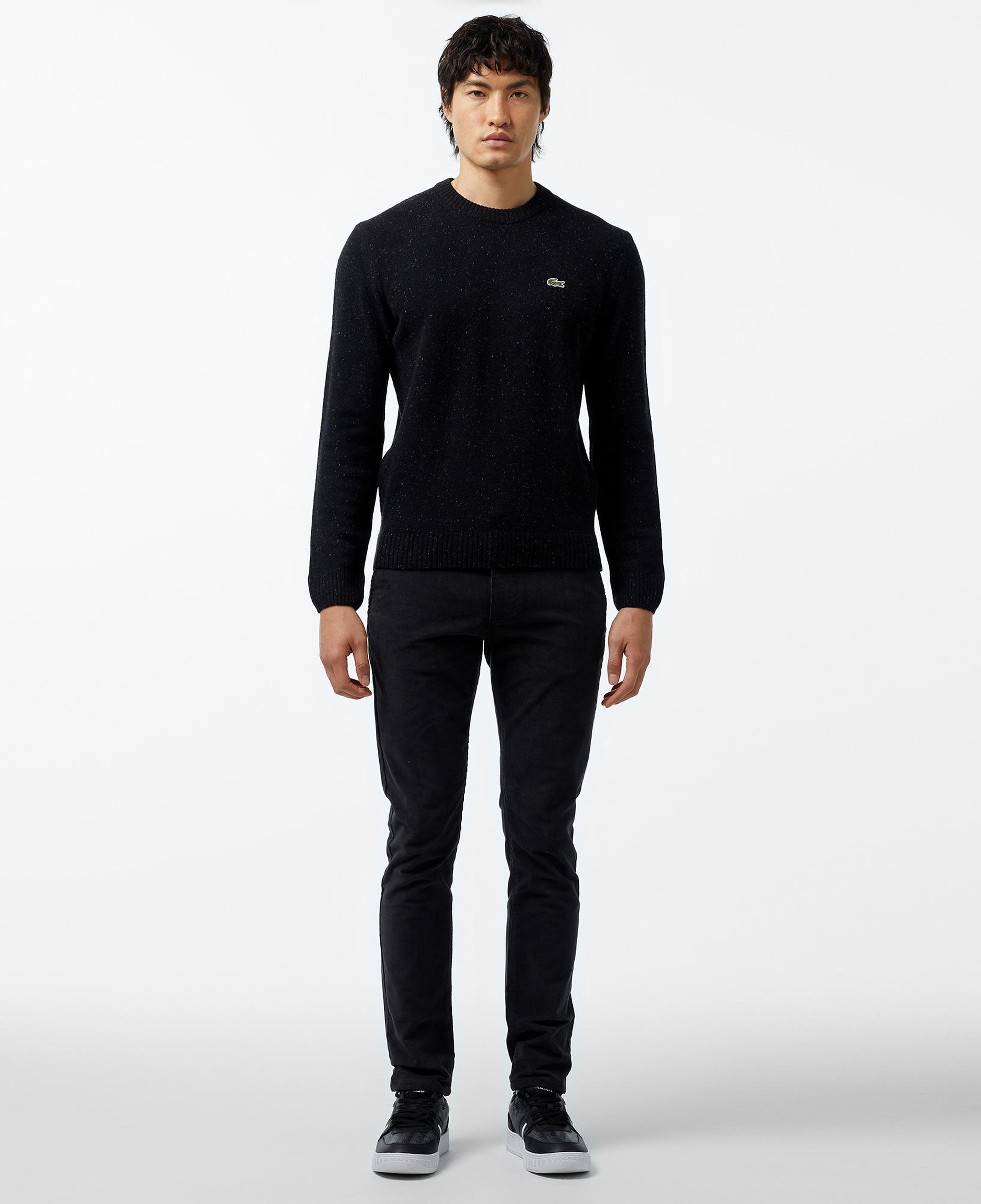 Erkek Regular Fit Bisiklet Yaka Siyah Triko