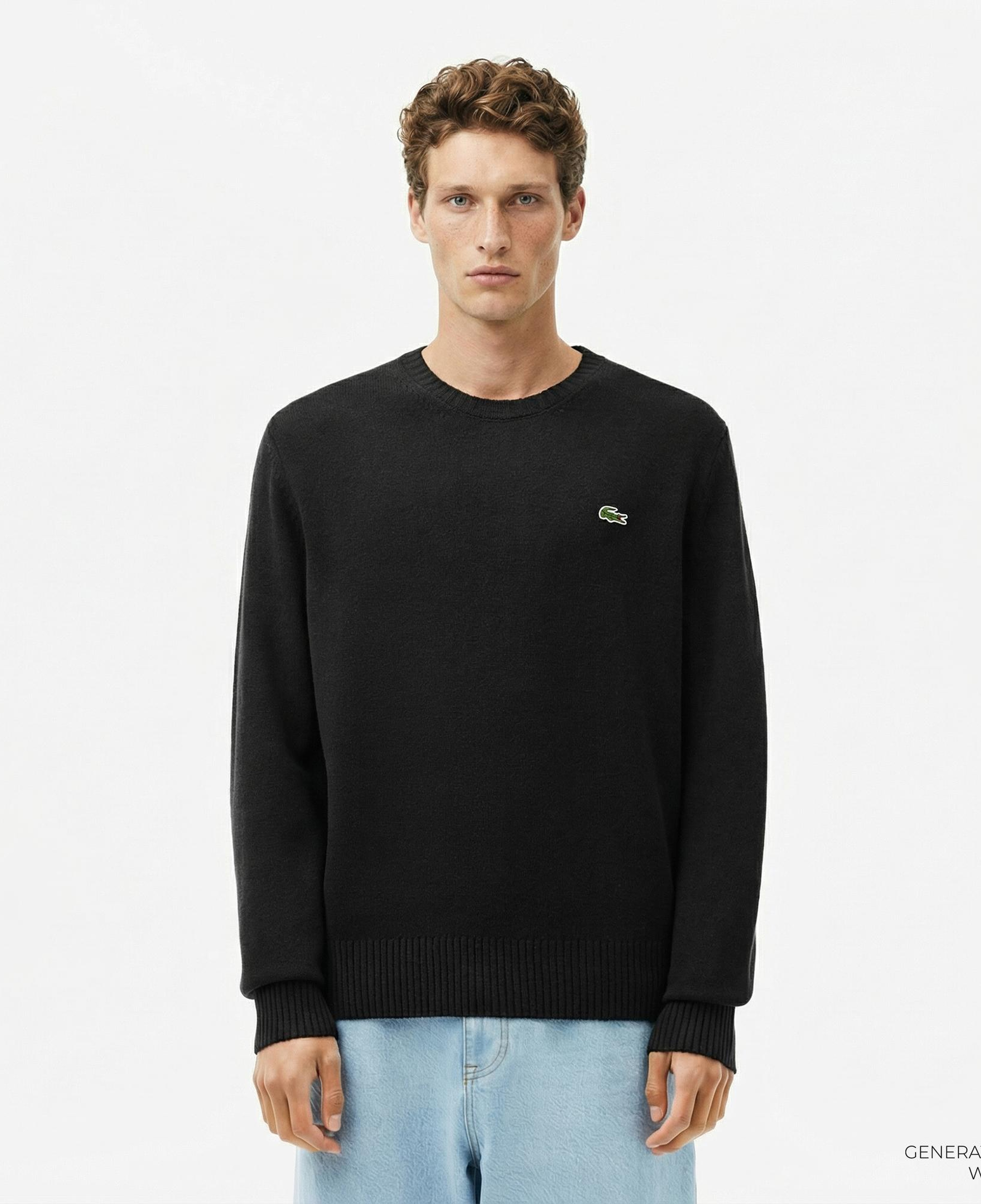 Lacoste Erkek Classic Fit Bisiklet Yaka Siyah Kazak