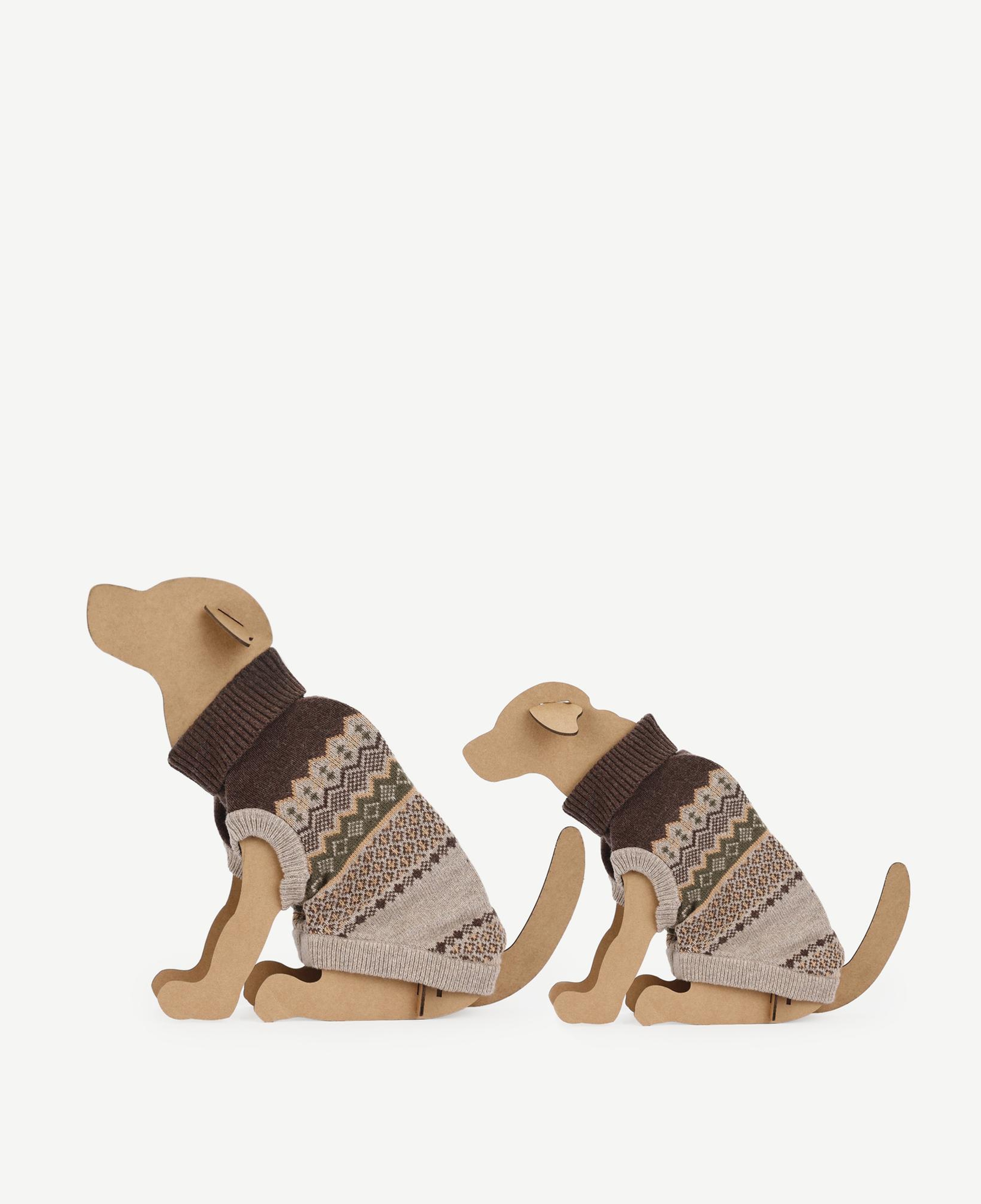YARGICI Köpek Kazağı
