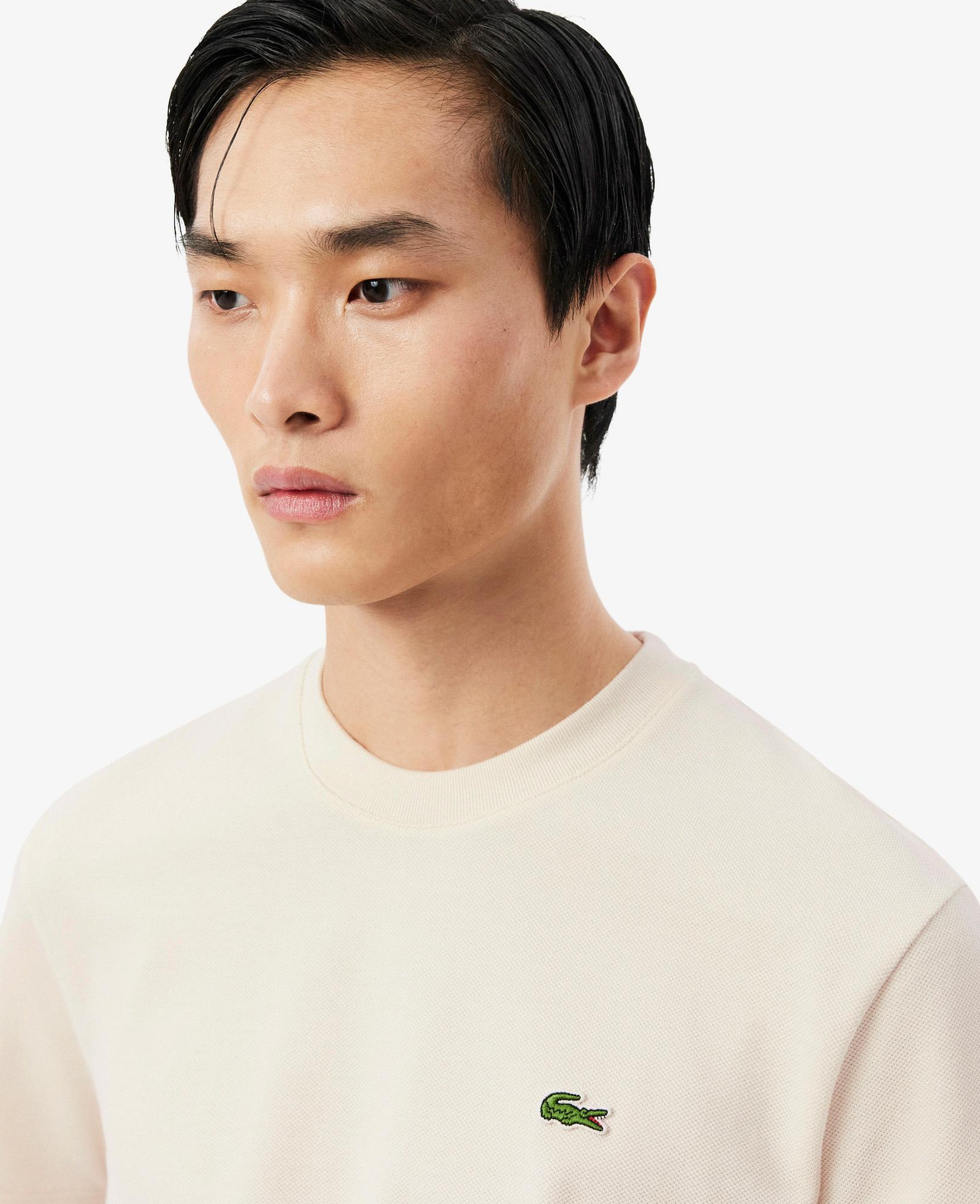 Erkek Classic Fit Bisiklet Yaka Çizgili Krem T-Shirt