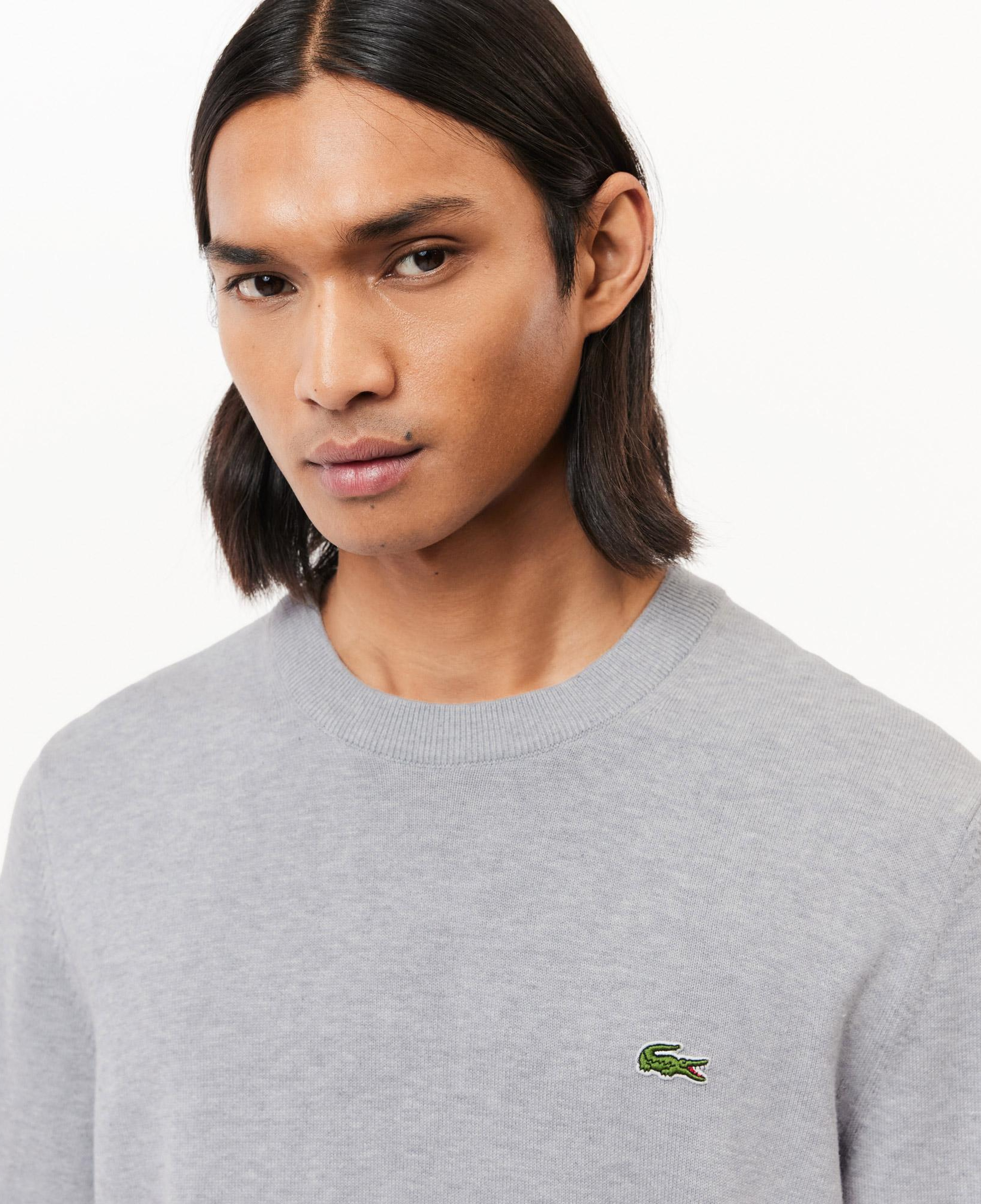 Lacoste Erkek Regular Fit Bisiklet Yaka Gri Kazak