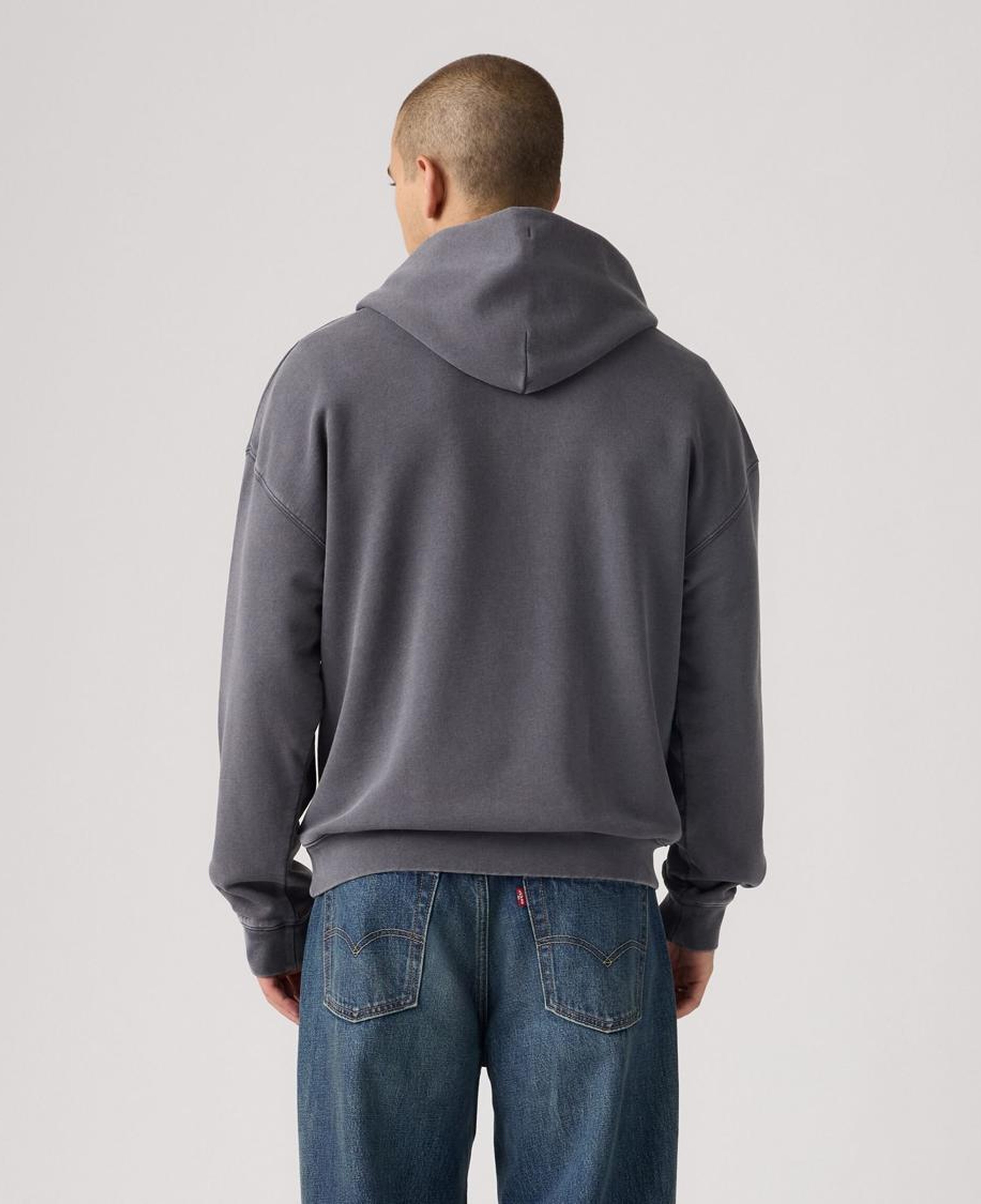 Two Horse Cropped Hoodie