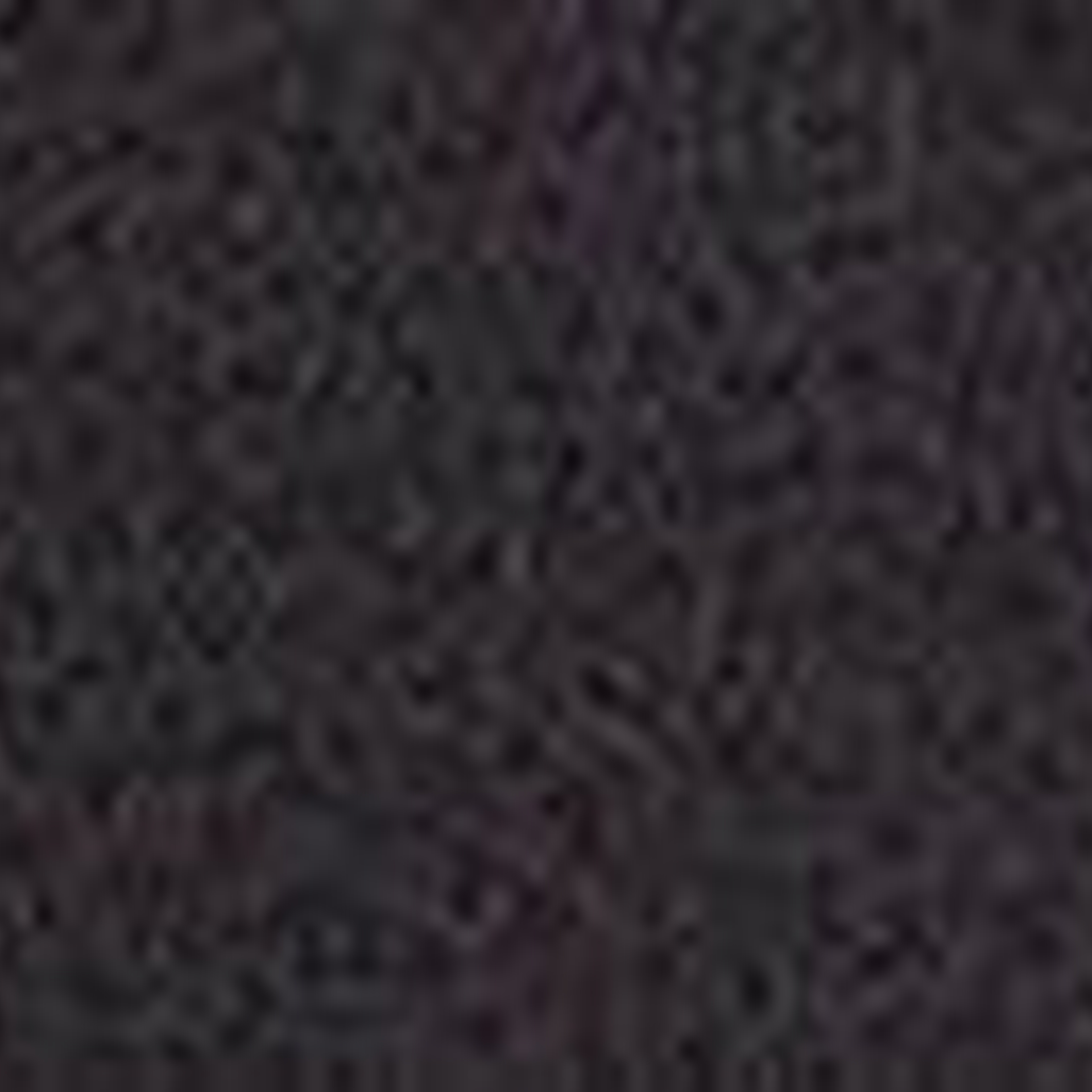 Levis Tumbled Icon Kemer