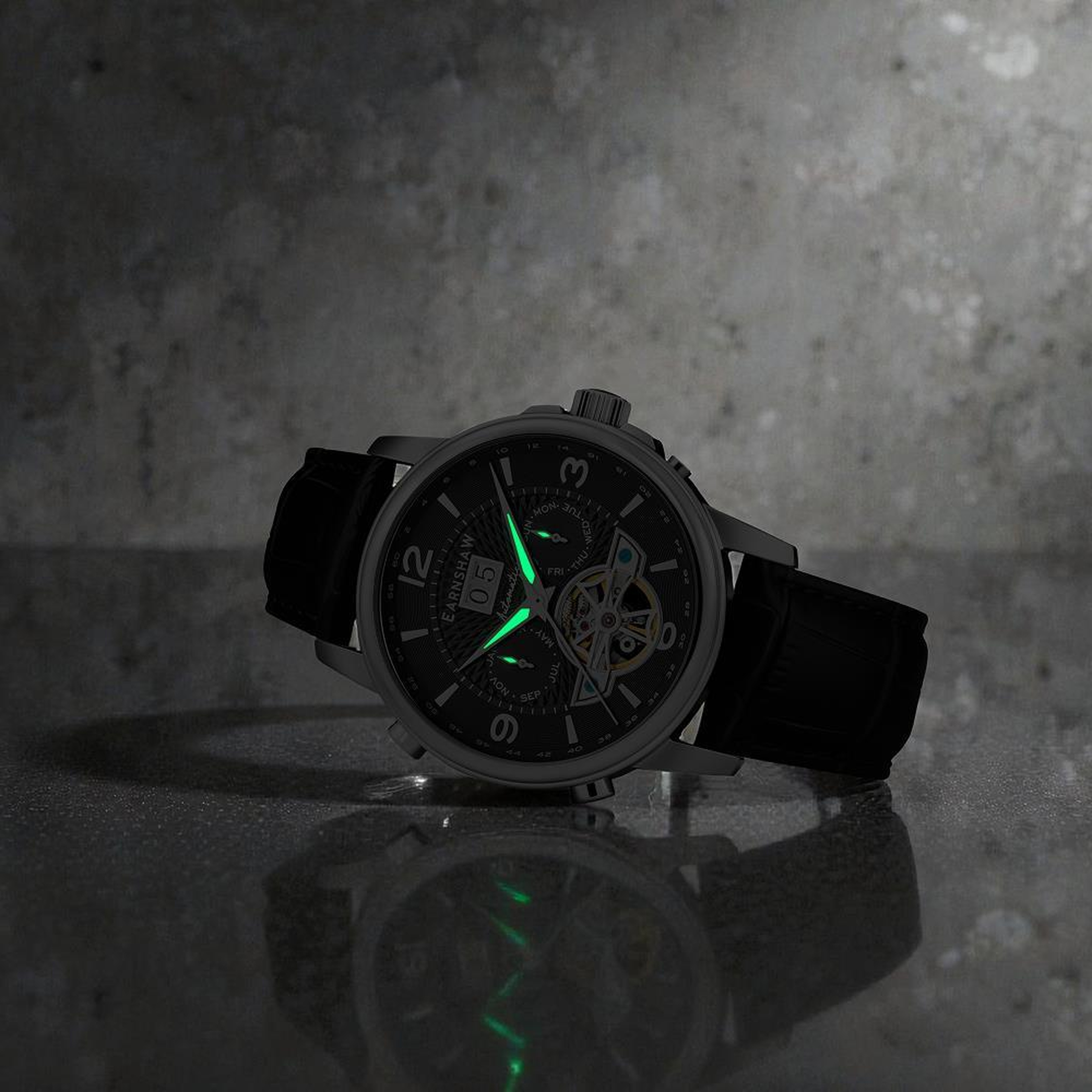 EARNSHAW ES-8177-01 Erkek Kol Saati