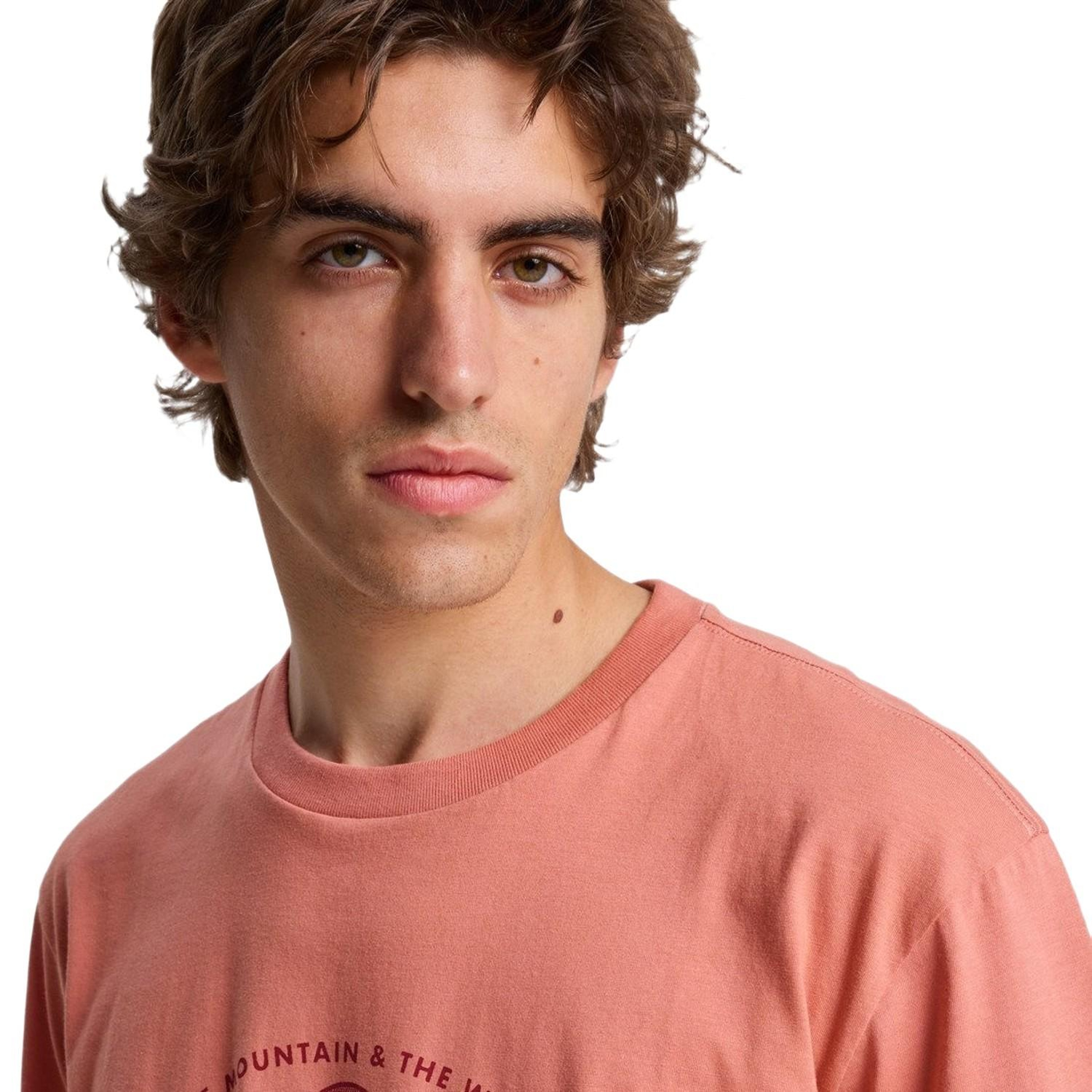 Quiksilver Ev Vista Erkek Tişört