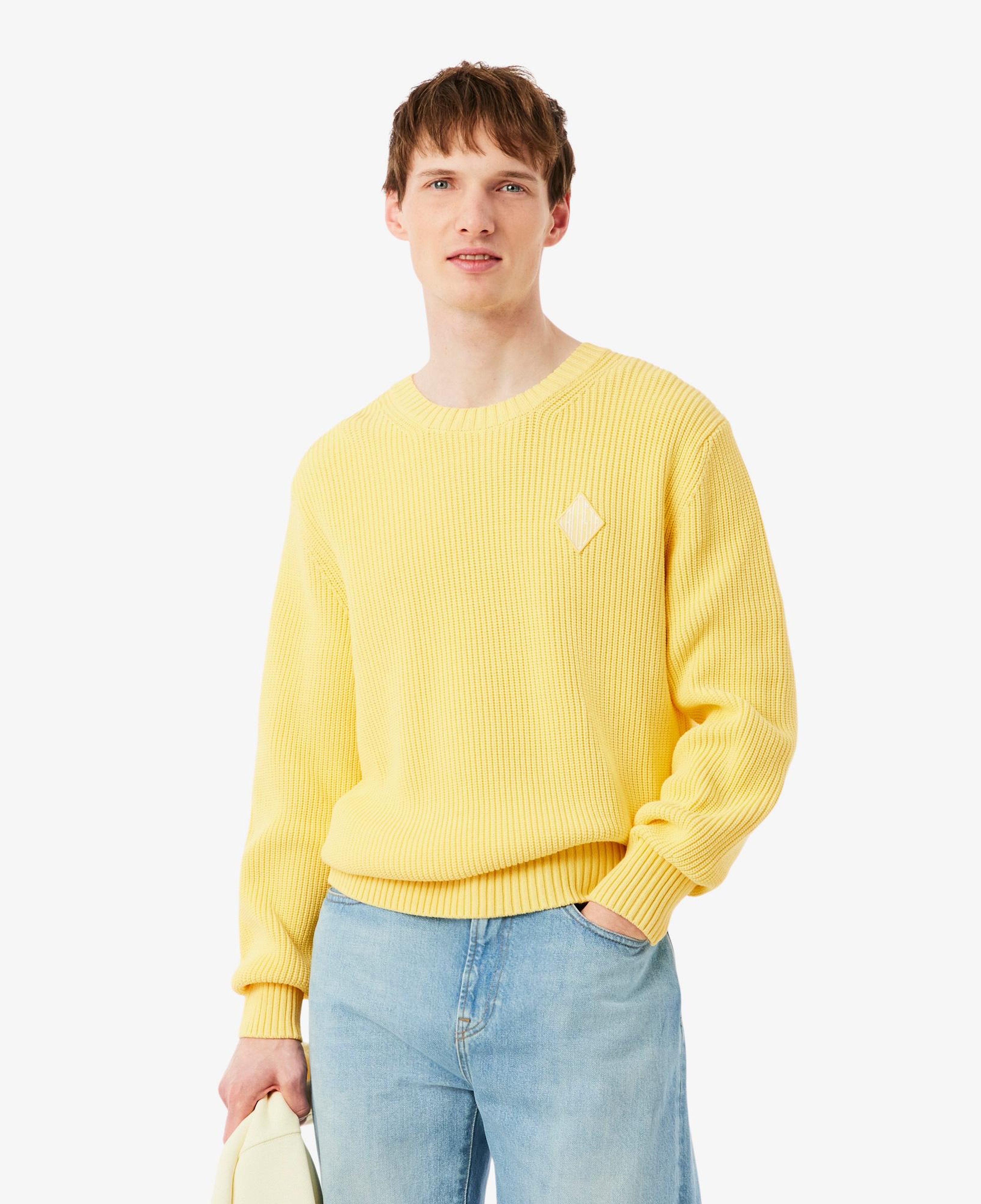 Erkek Classic Fit Bisiklet Yaka Sarı Kazak