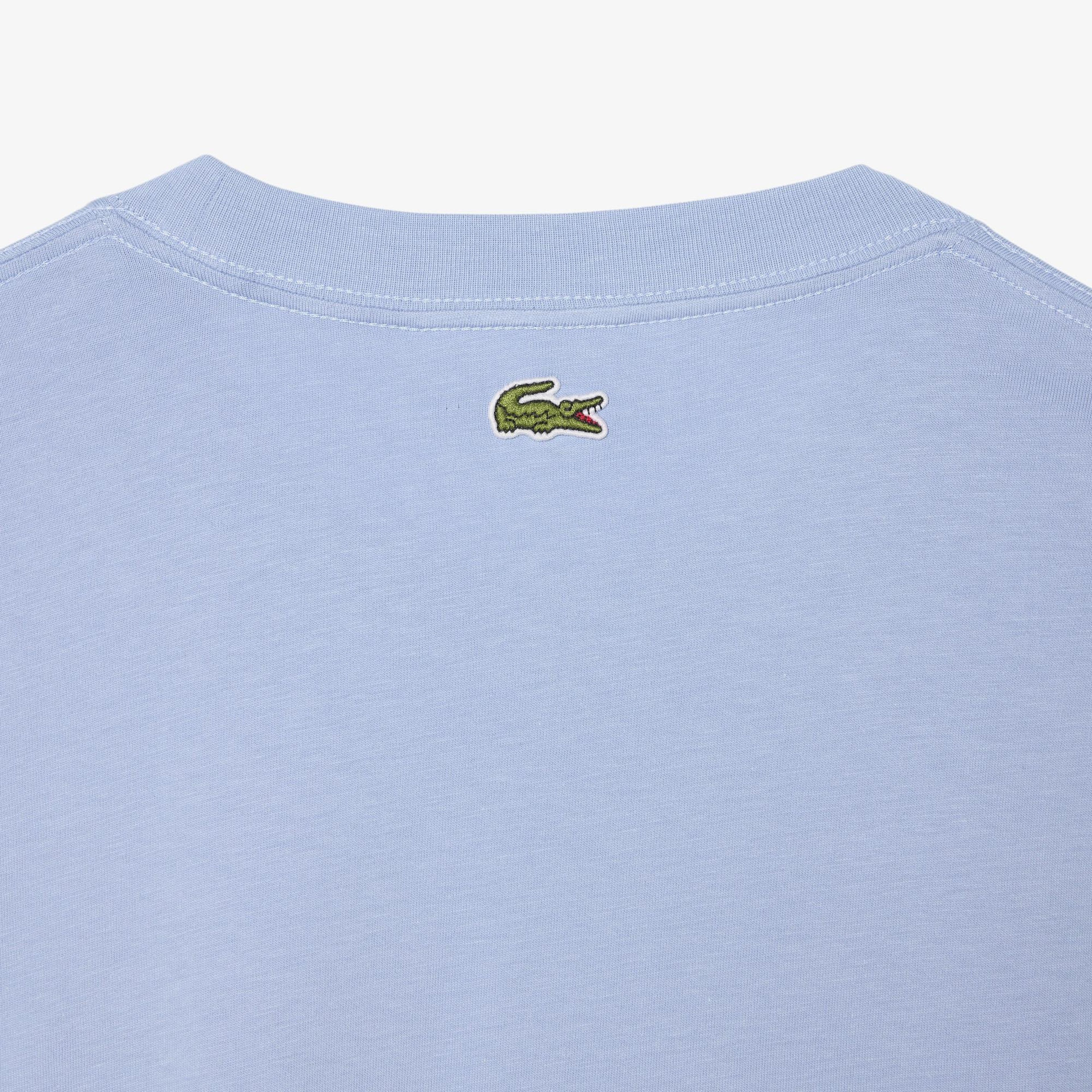 Erkek Classic Fit Bisiklet Yaka Baskılı Mavi T-Shirt