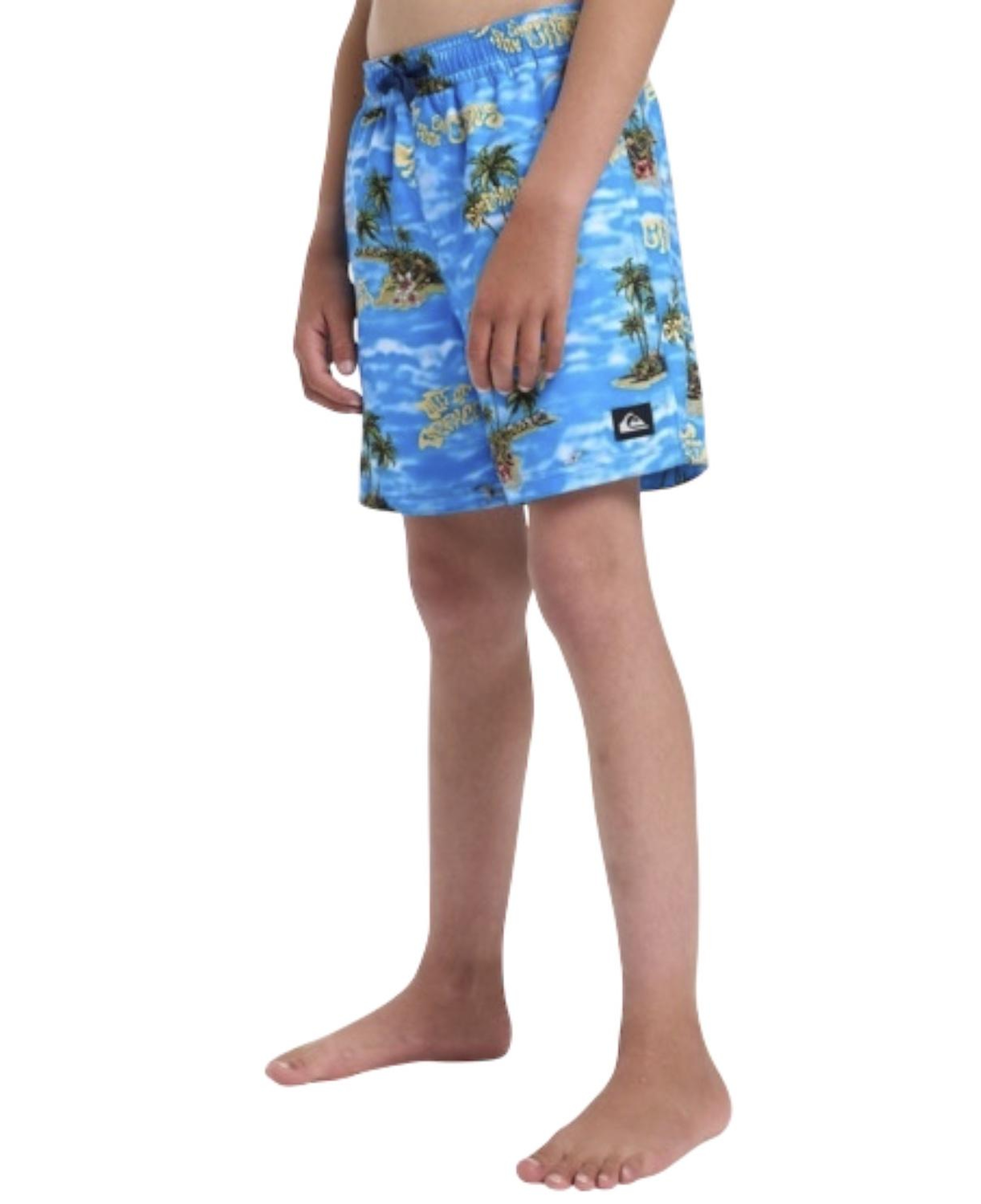 Quiksilver Everyday Straight Volley Erkek Çocuk Mavi Volley Short