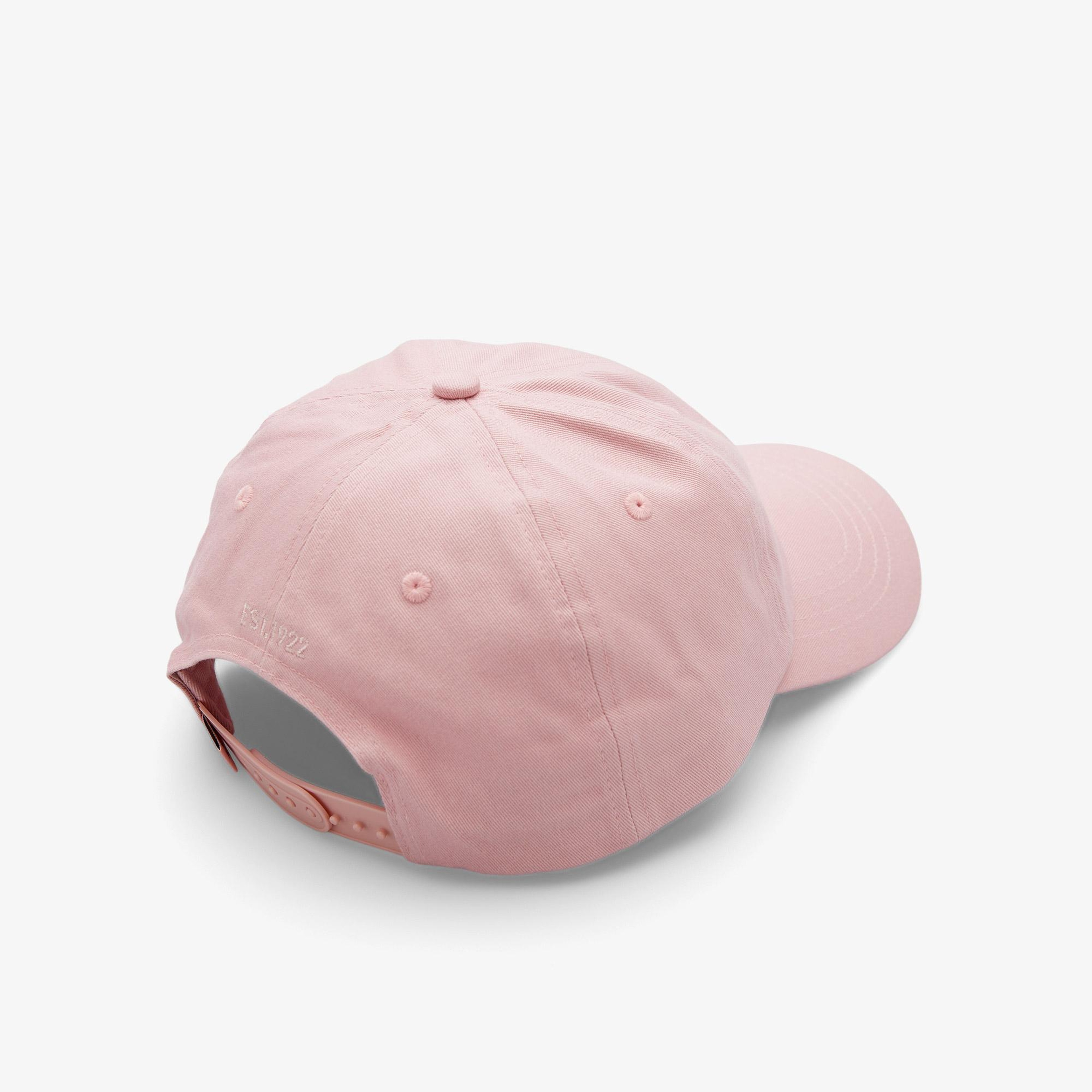 Dickies Hardwick Erkek Pembe Şapka