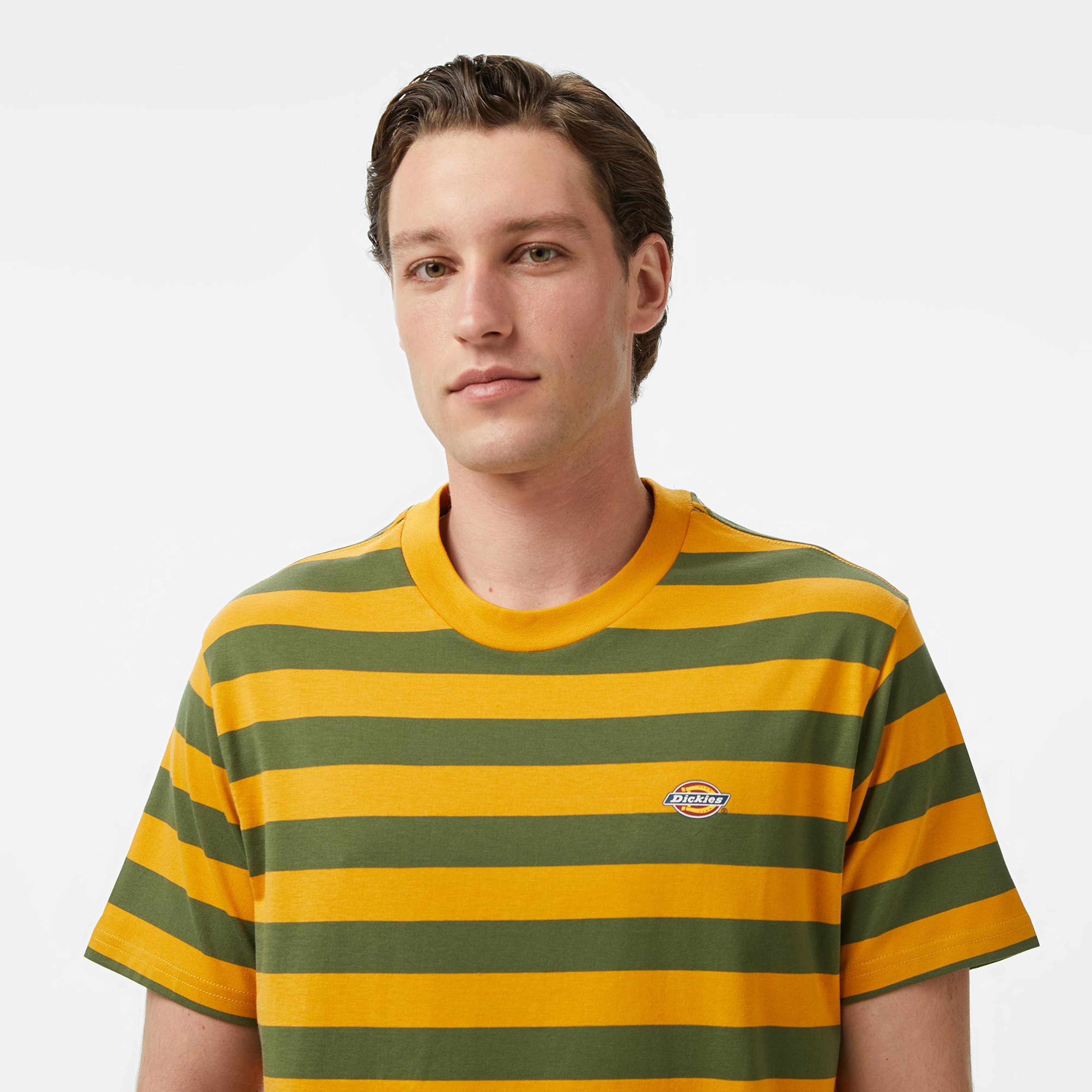 Dickies Rivergrove Erkek Renkli T-Shirt