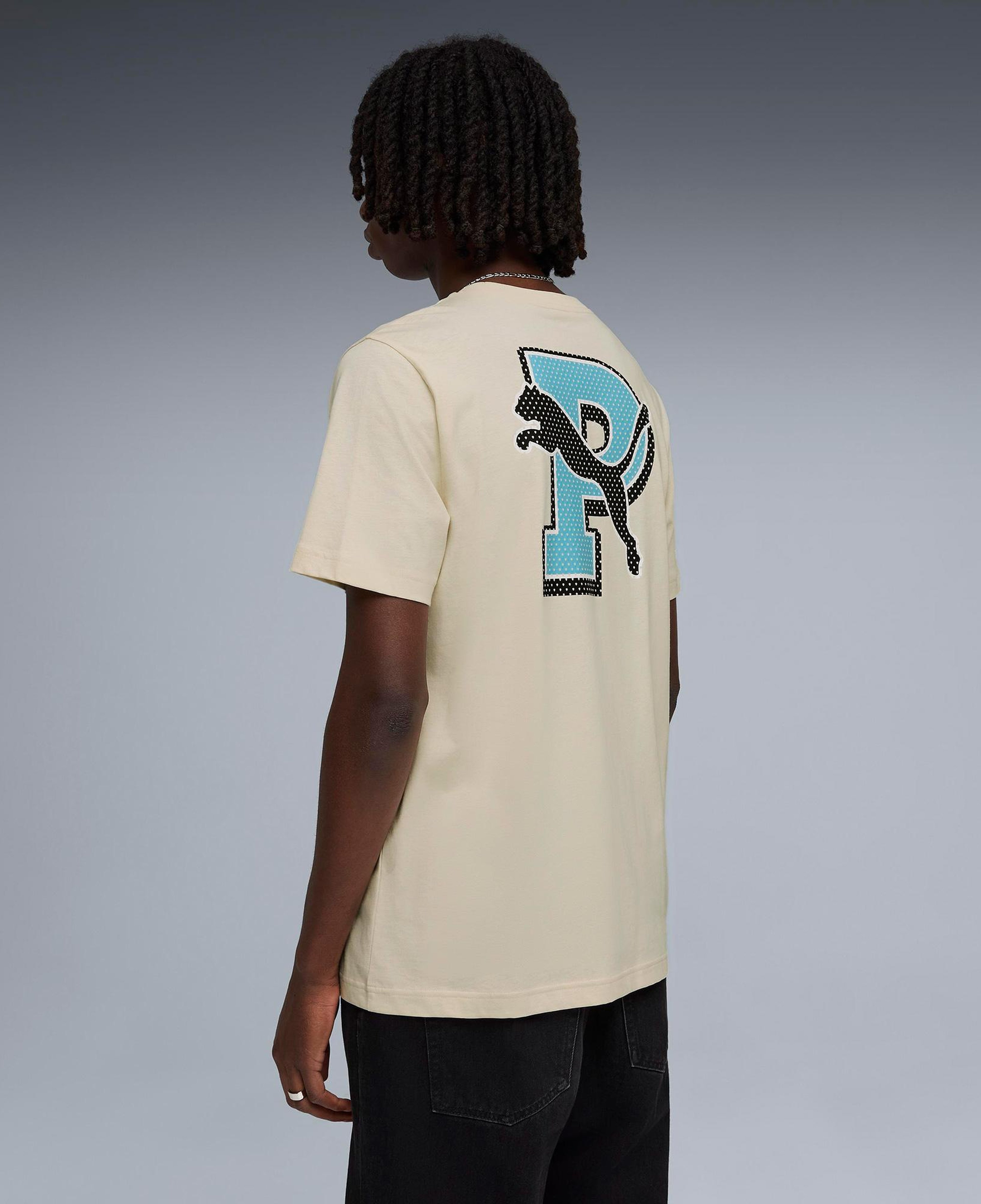 Puma Graphic Erkek Krem T-Shirt