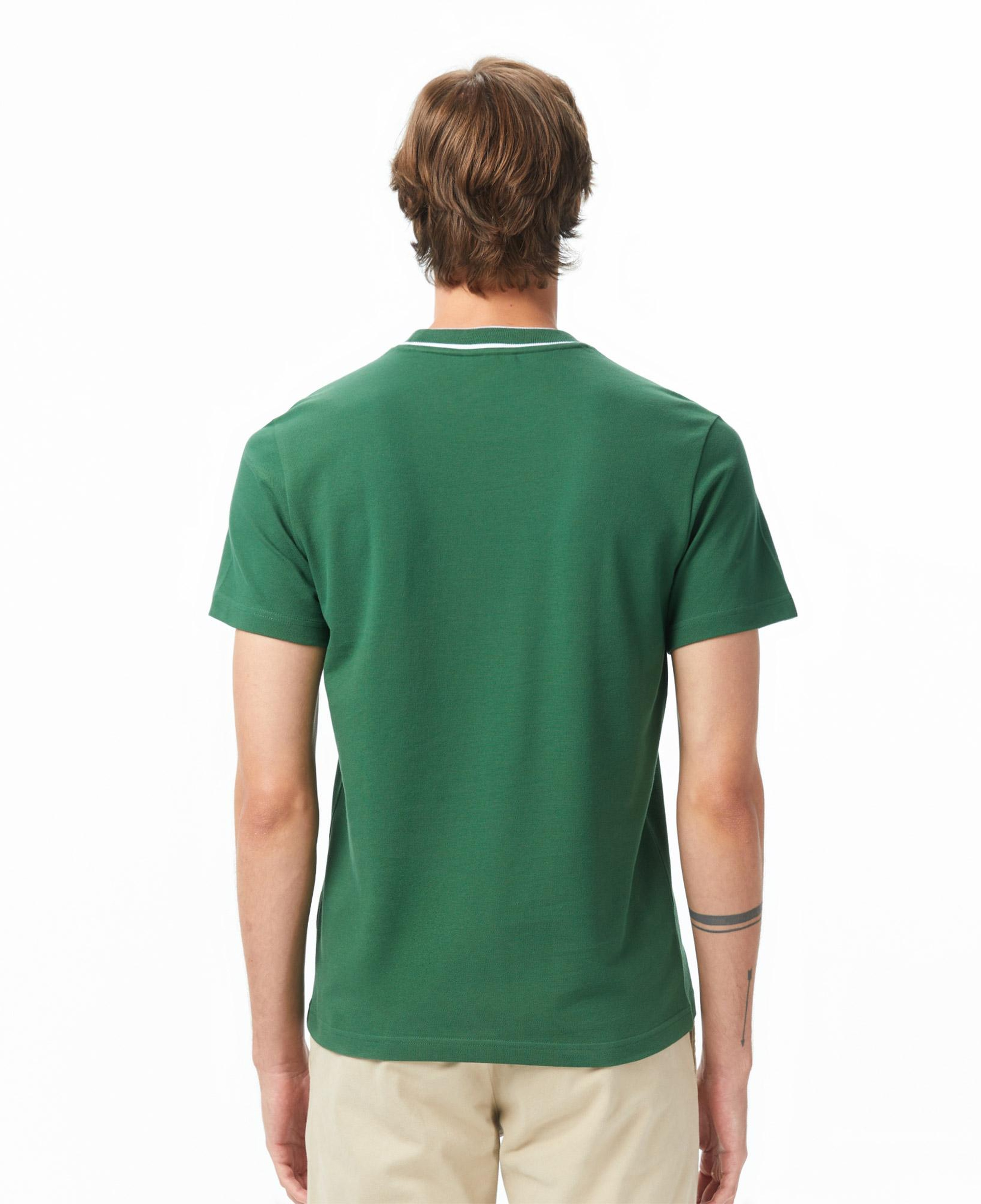 Erkek Regular Fit Bisiklet Yaka Yeşil T-Shirt