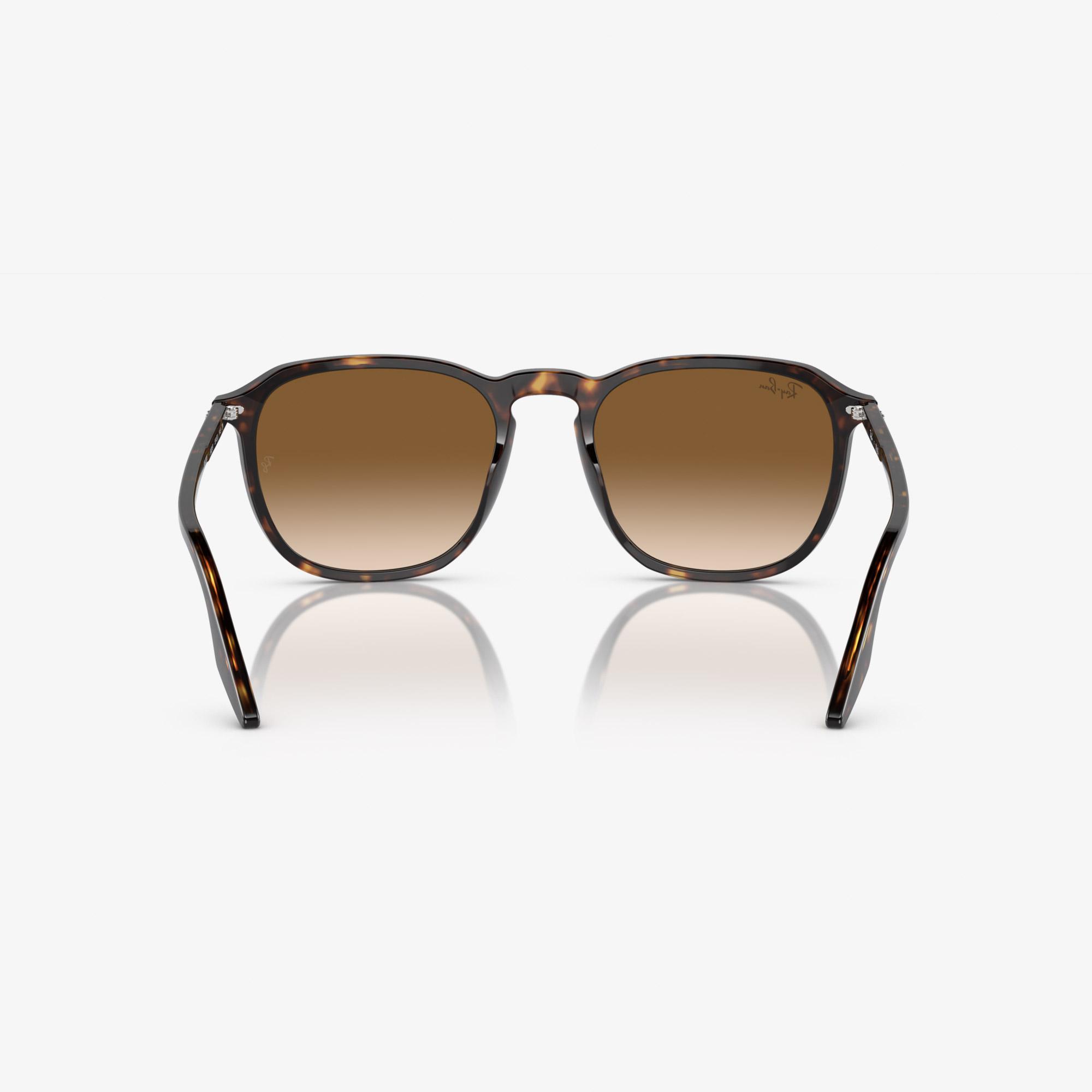 Ray-Ban Acetate Unisex Kahverengi Güneş Gözlüğü