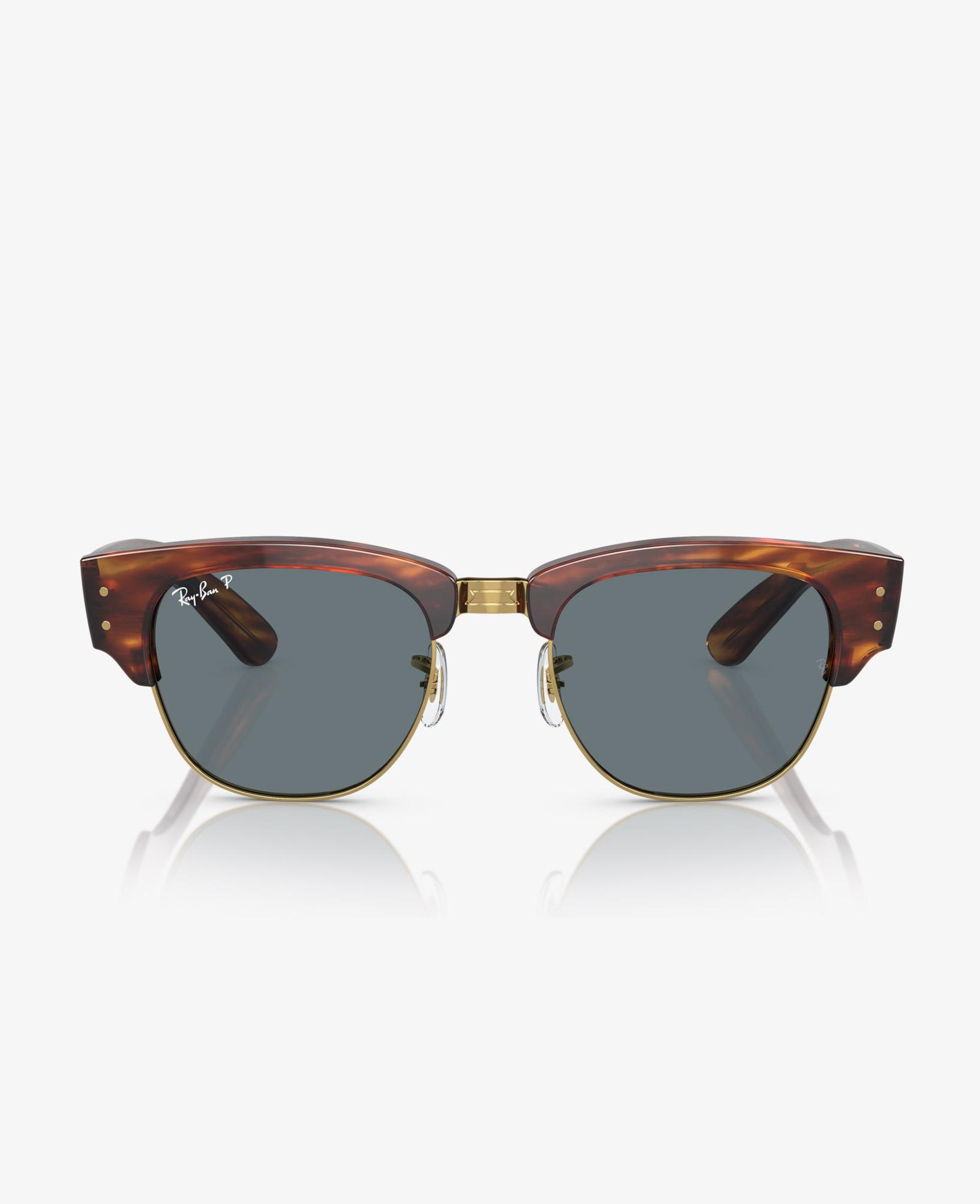 Ray-Ban Propionate Unisex Kahverengi Güneş Gözlüğü