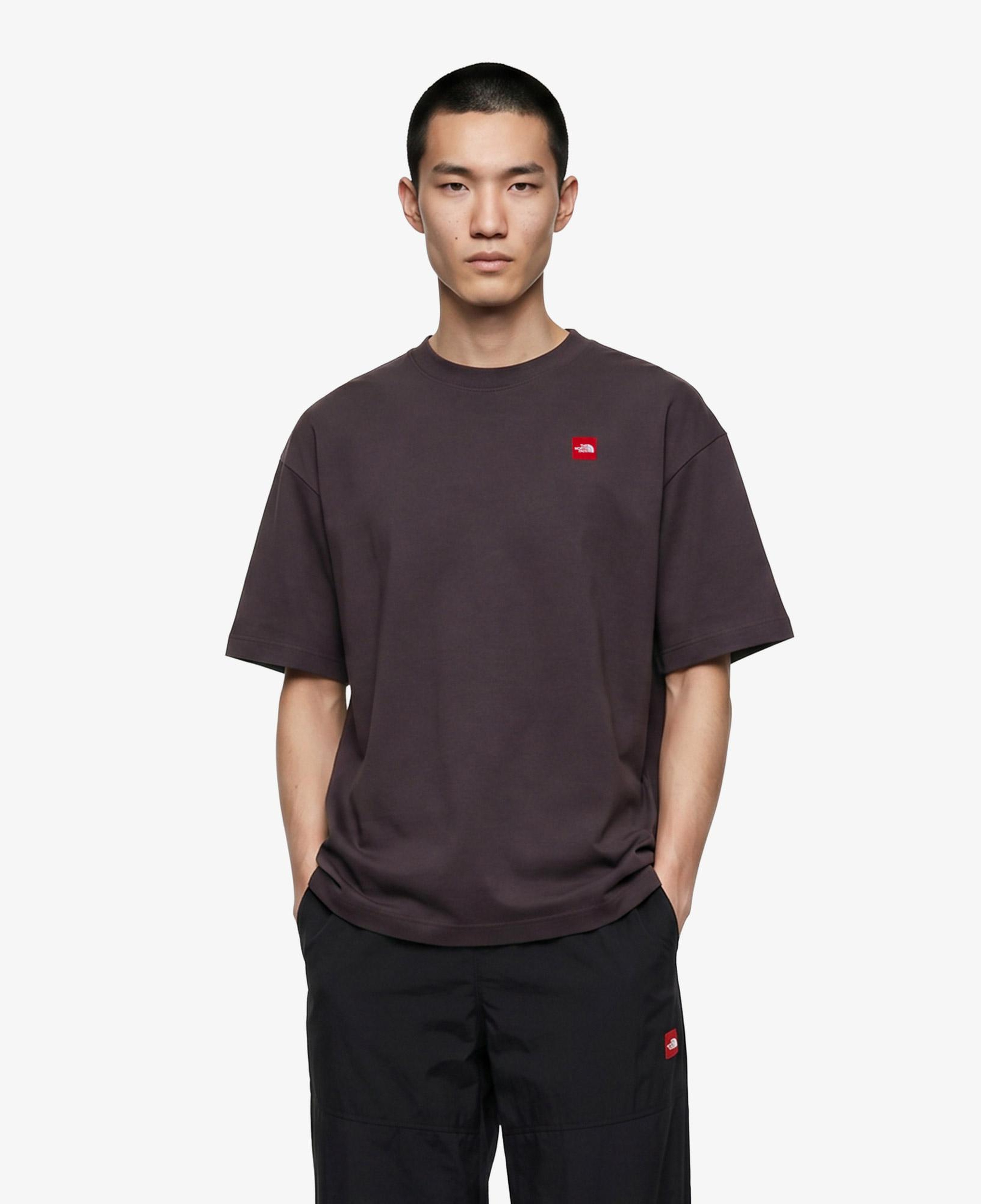 The North Face Red Box S/S Erkek Gri T-Shirt