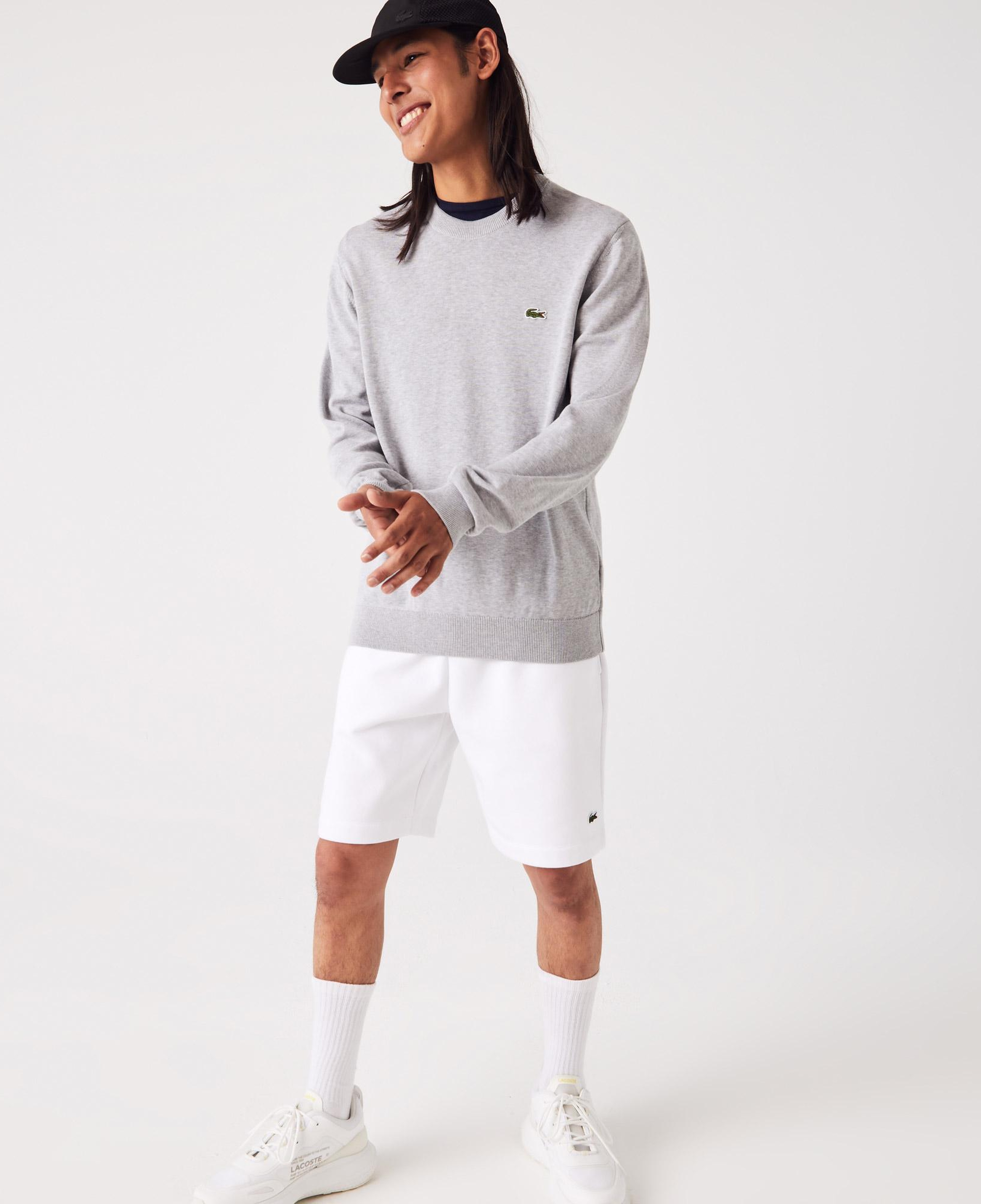 Lacoste Erkek Regular Fit Bisiklet Yaka Gri Kazak