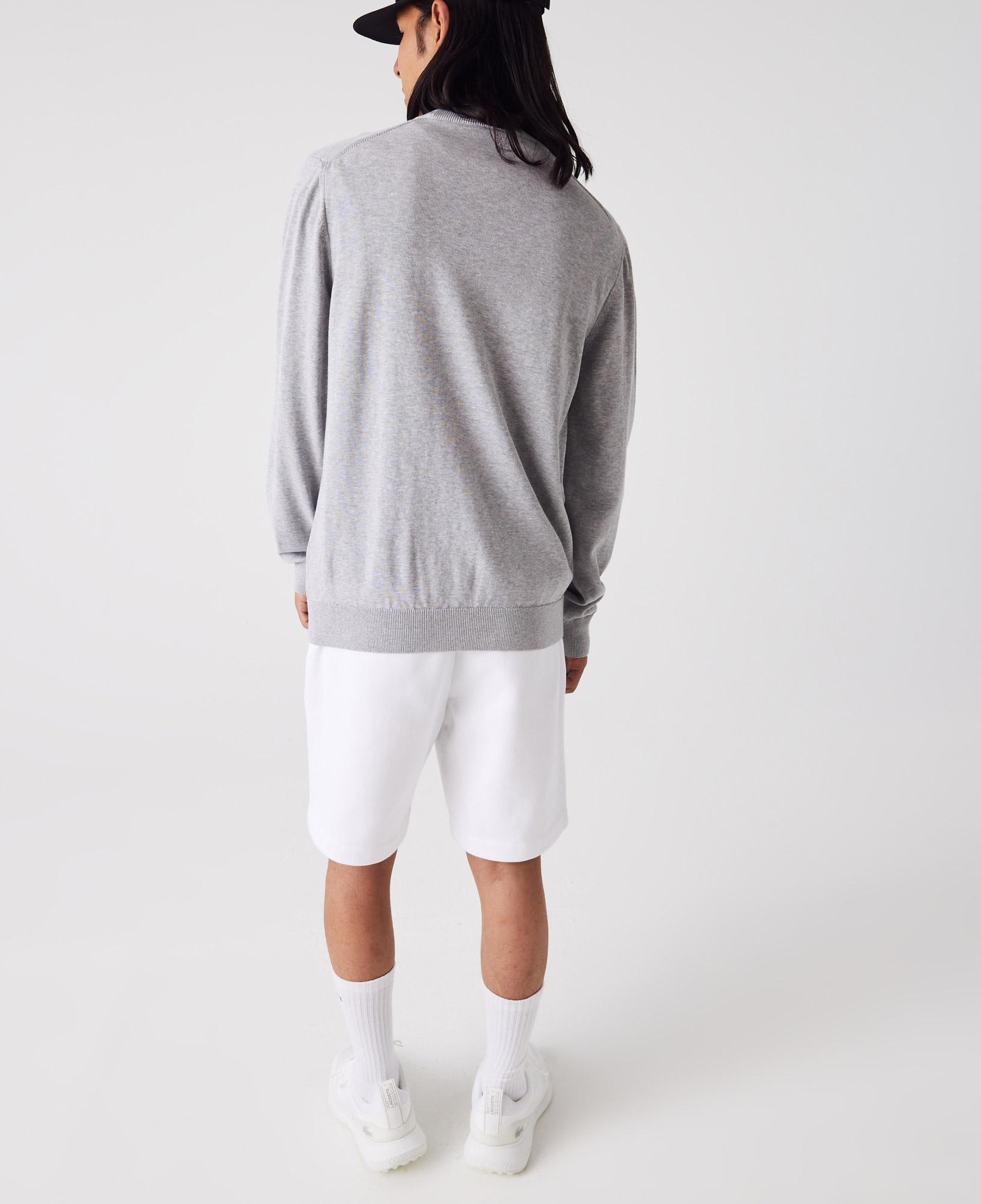 Lacoste Erkek Regular Fit Bisiklet Yaka Gri Kazak
