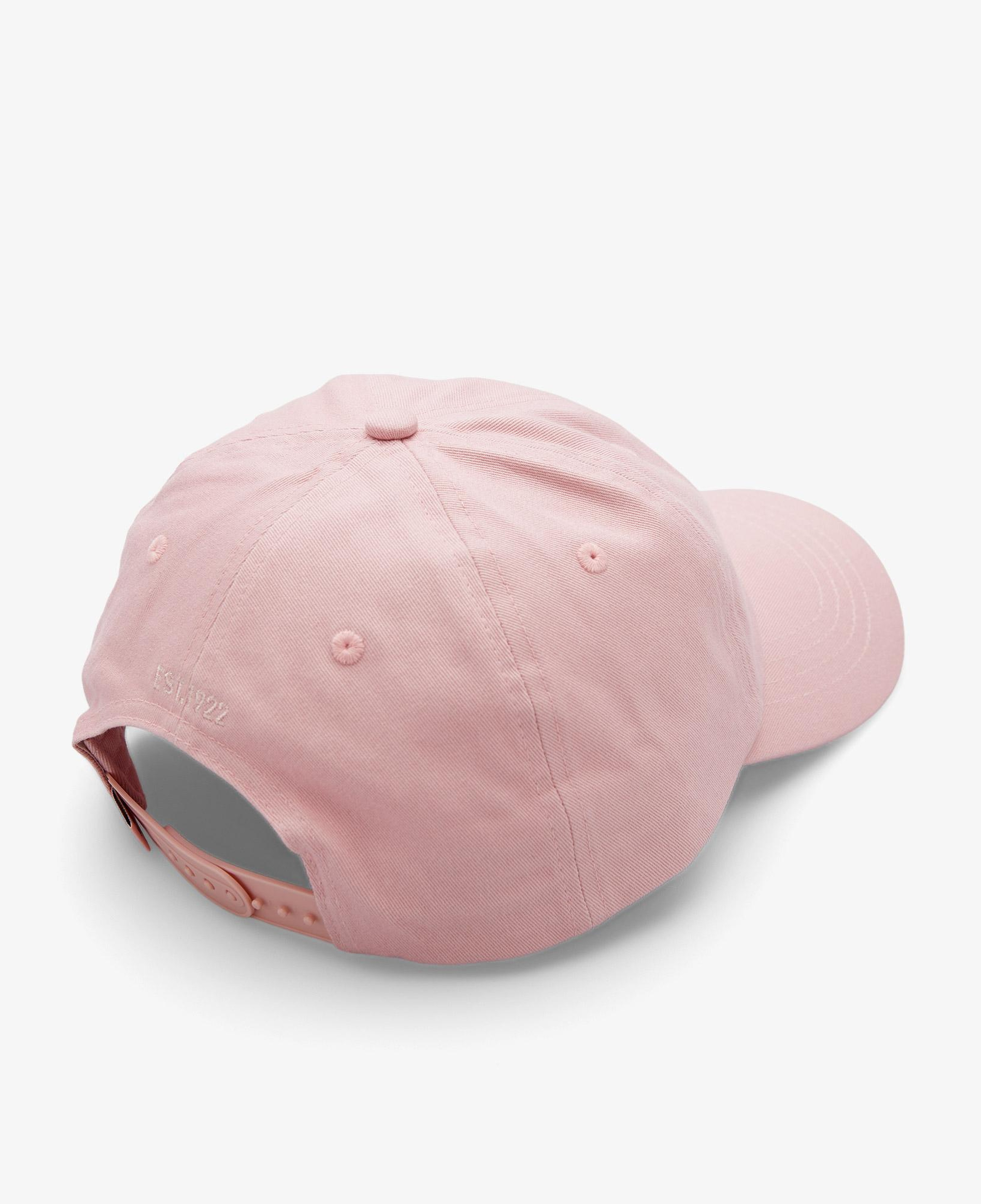 Dickies Hardwick Erkek Pembe Şapka